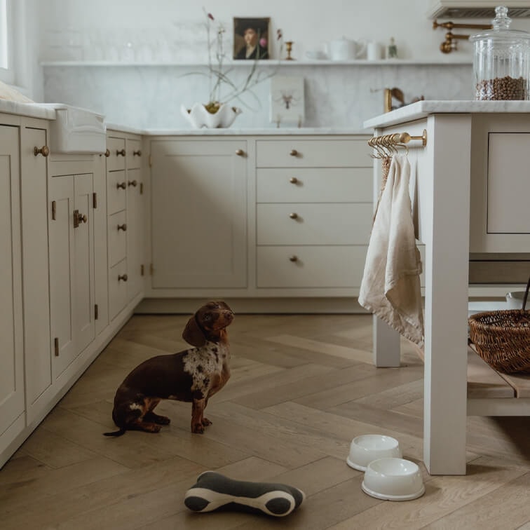Vintage keuken met witte kasten en houten vloer, kleine teckel hond in het midden