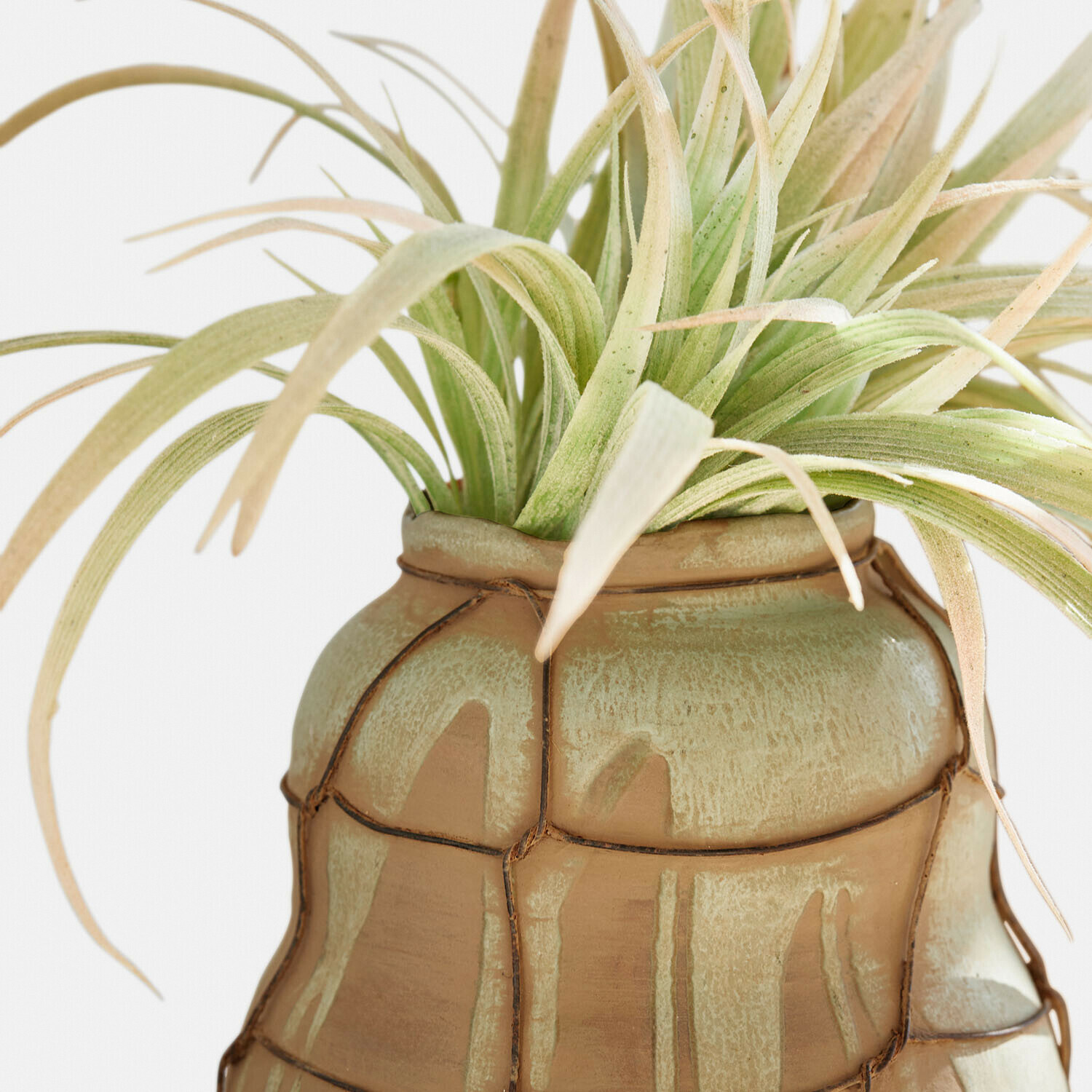 Vaas set van 2 Frandoro