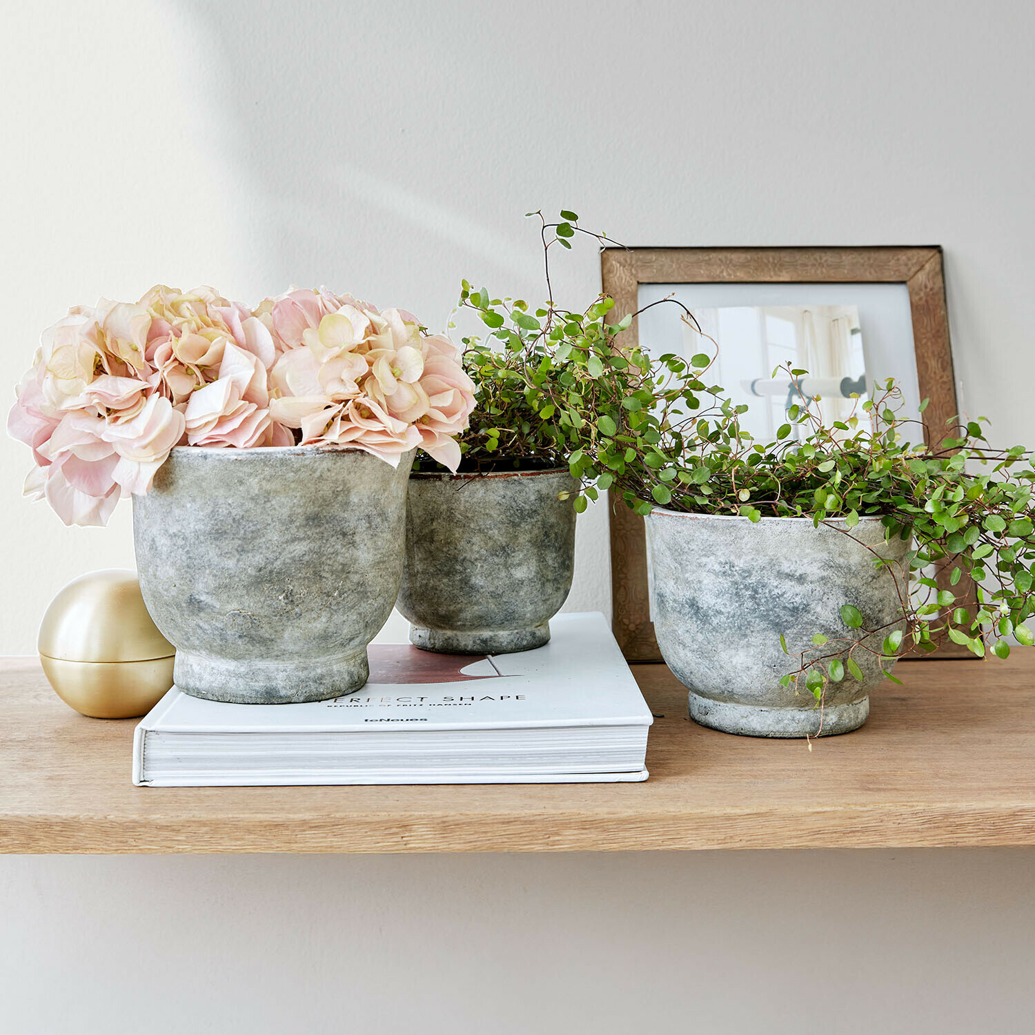 Set van drie grijze keramische bloempotten met roze bloemen en groene planten op een houten plank