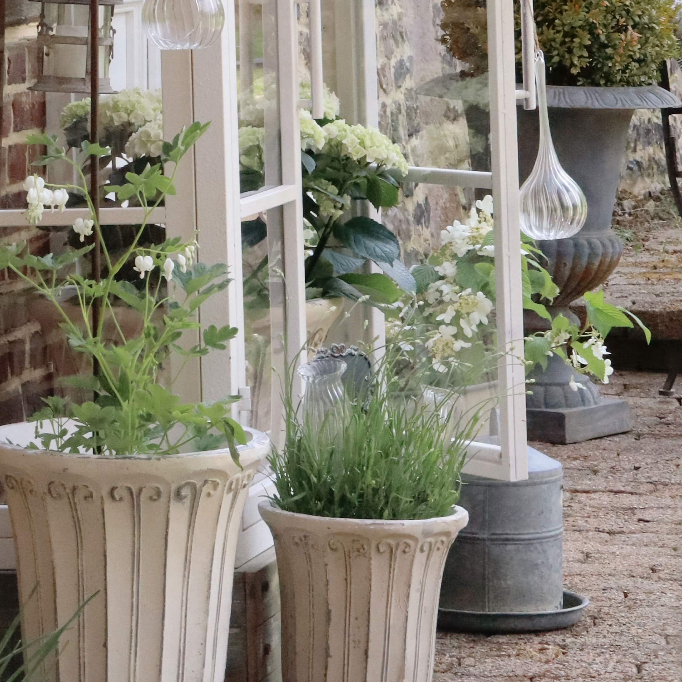 Decoratieve lichte stenen potten met groene planten voor een wit raam buiten