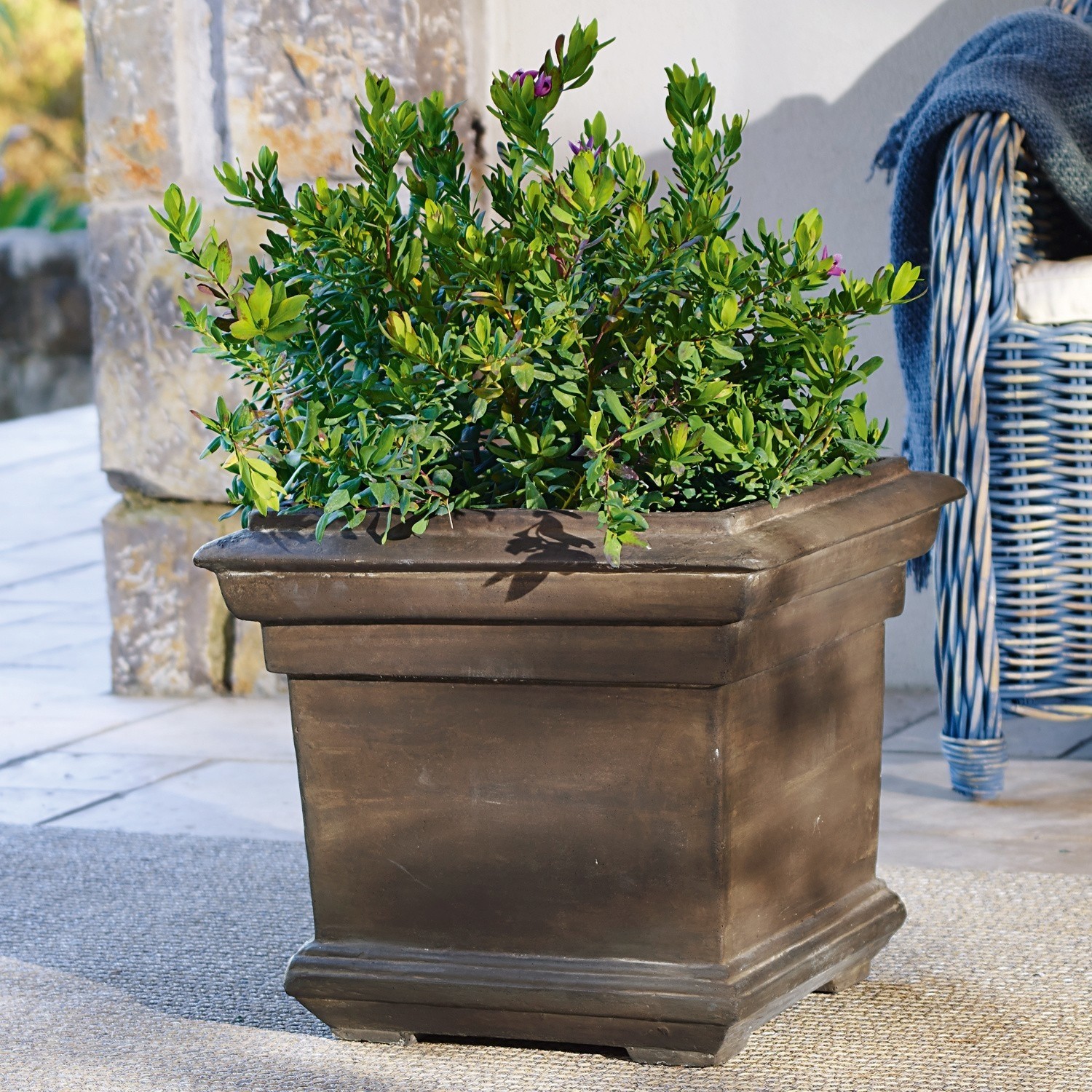 Sierpot Magnum