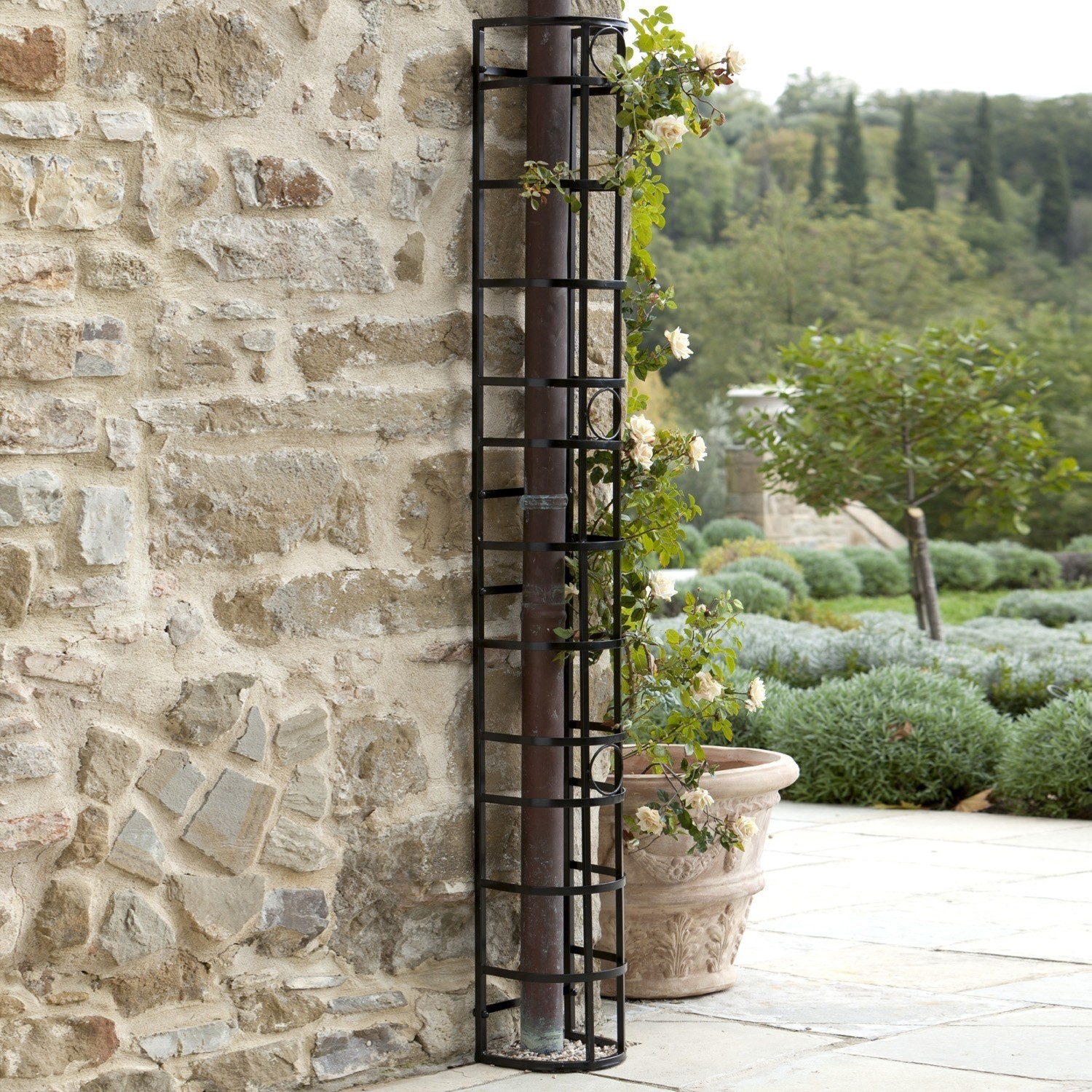 Zwart metalen klimrek voor klimplanten tegen een stenen muur in de tuin