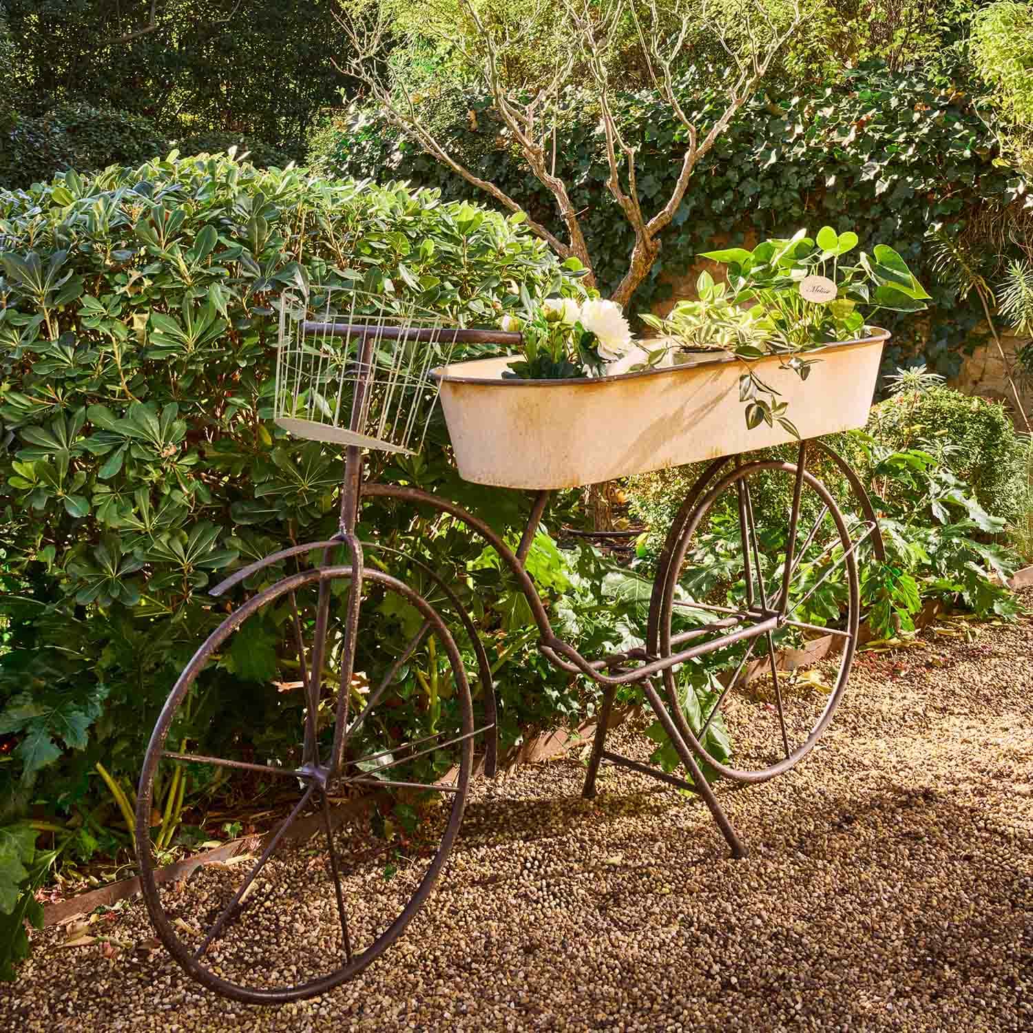 Decoratieve metalen fiets met witte plantenbak en groene planten in tuin op grindpad