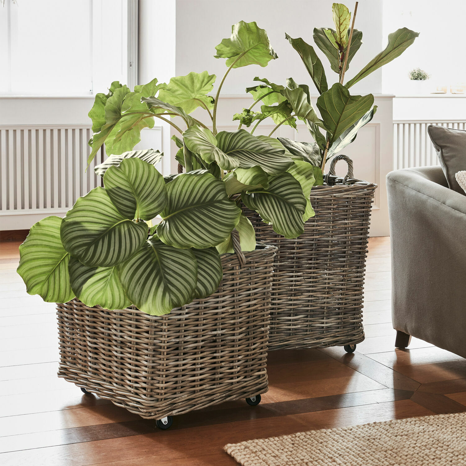 Plantenmand set van 2 Gialousa Twee grijze rieten plantenbakken op wieltjes met groene planten in lichte woonkamer met houten vloer
