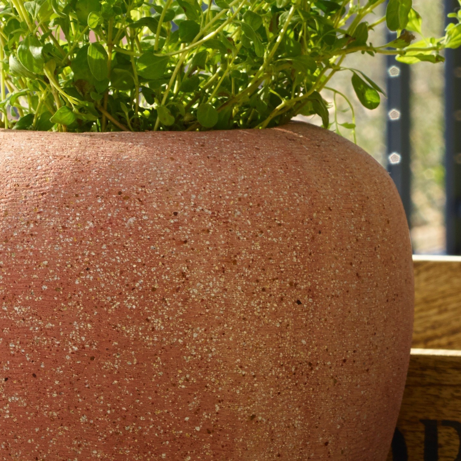 Sierpot set van 2 Edmée