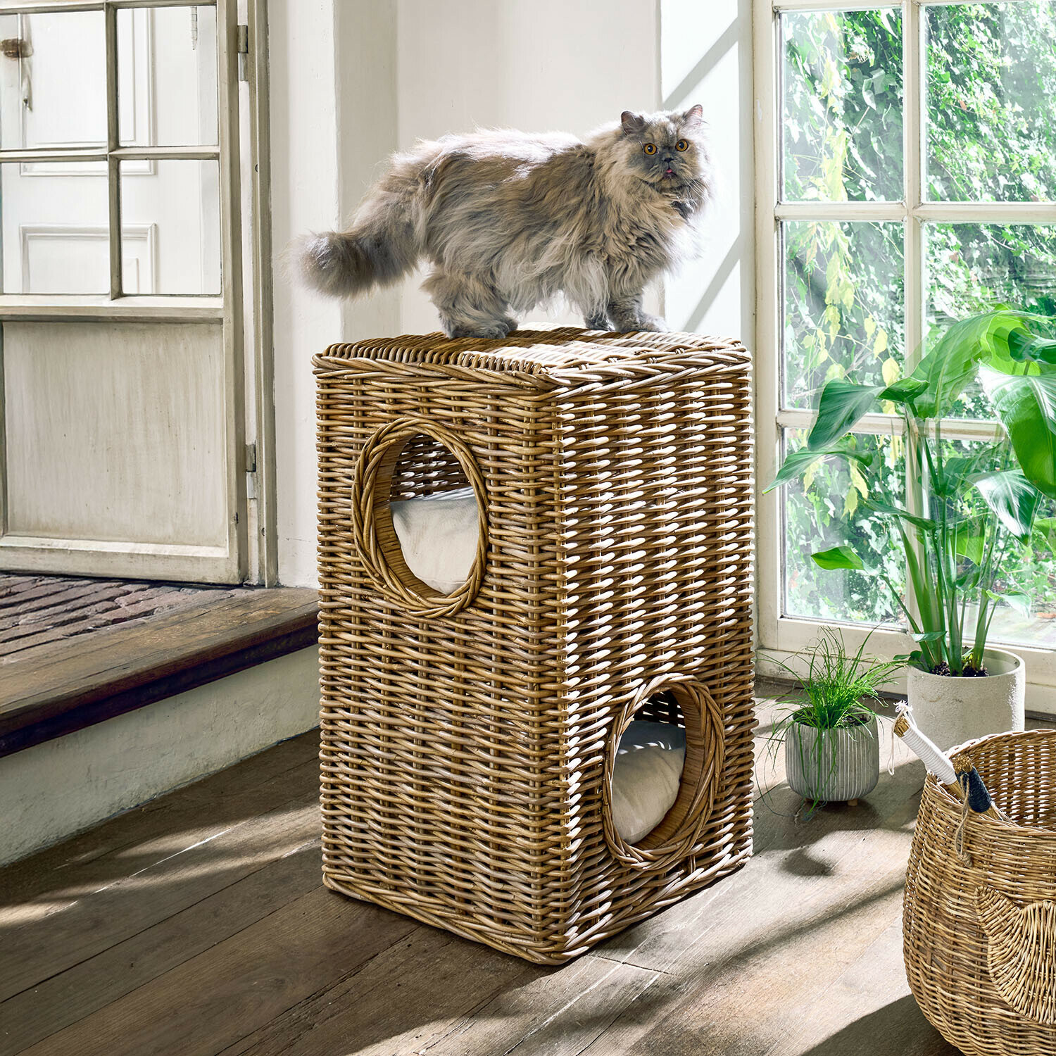 Twee verdiepingen tellend kattenhuis van natuurlijk riet met kussens, grijze langharige kat bovenop
