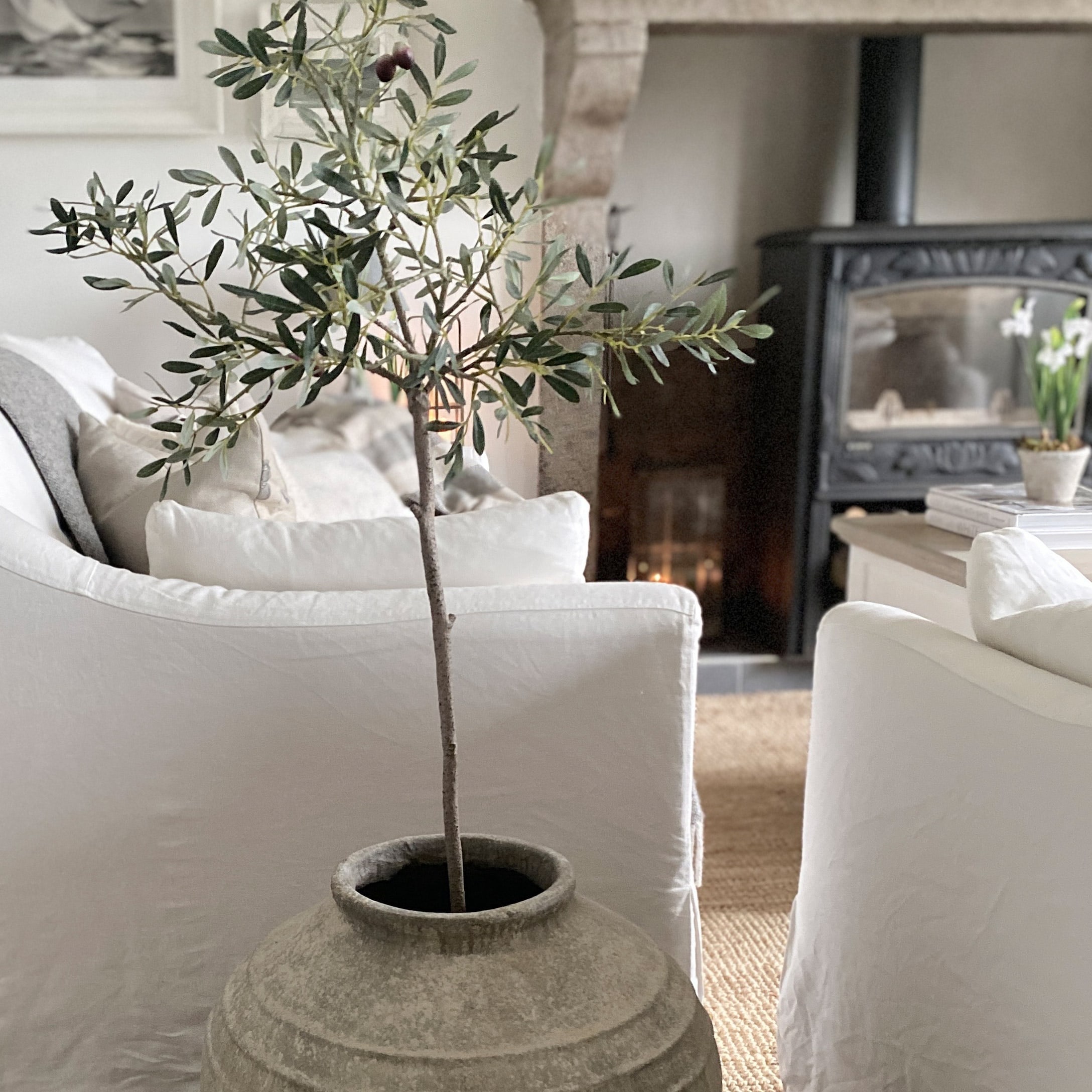 Decoratieve olijfboom in grote grijze keramische pot in lichte woonkamer met open haard