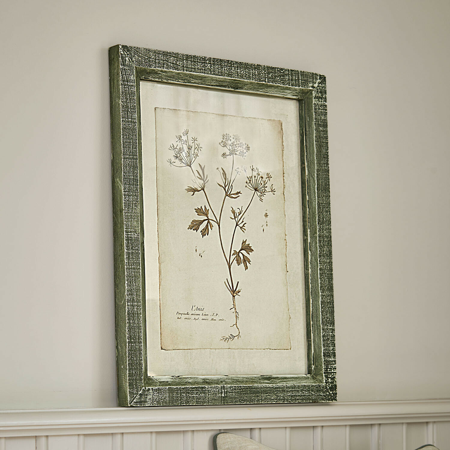 Botanische afbeelding met groene houten lijst en planttekening op beige achtergrond voor wanddecoratie