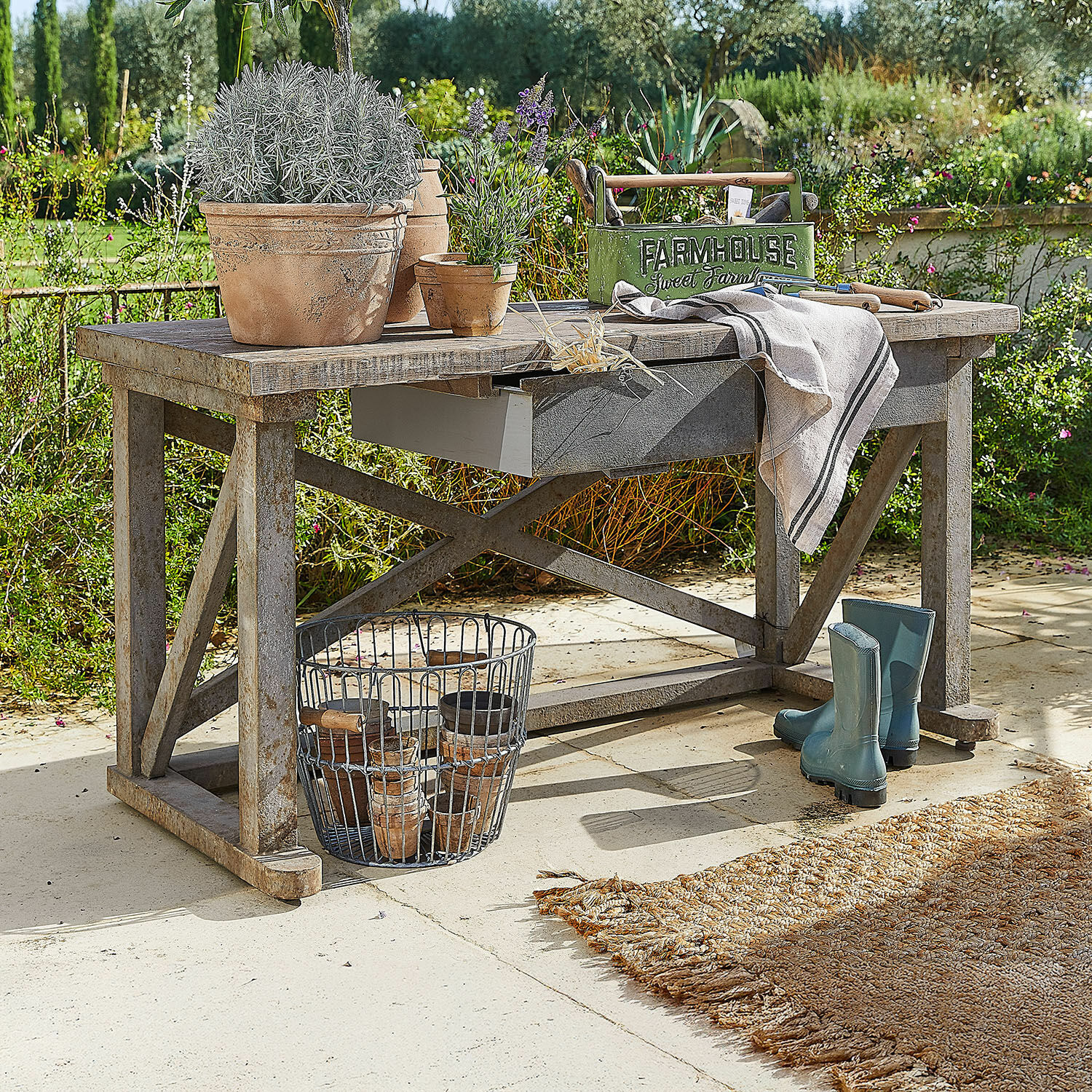 Plantentafel Belavoine