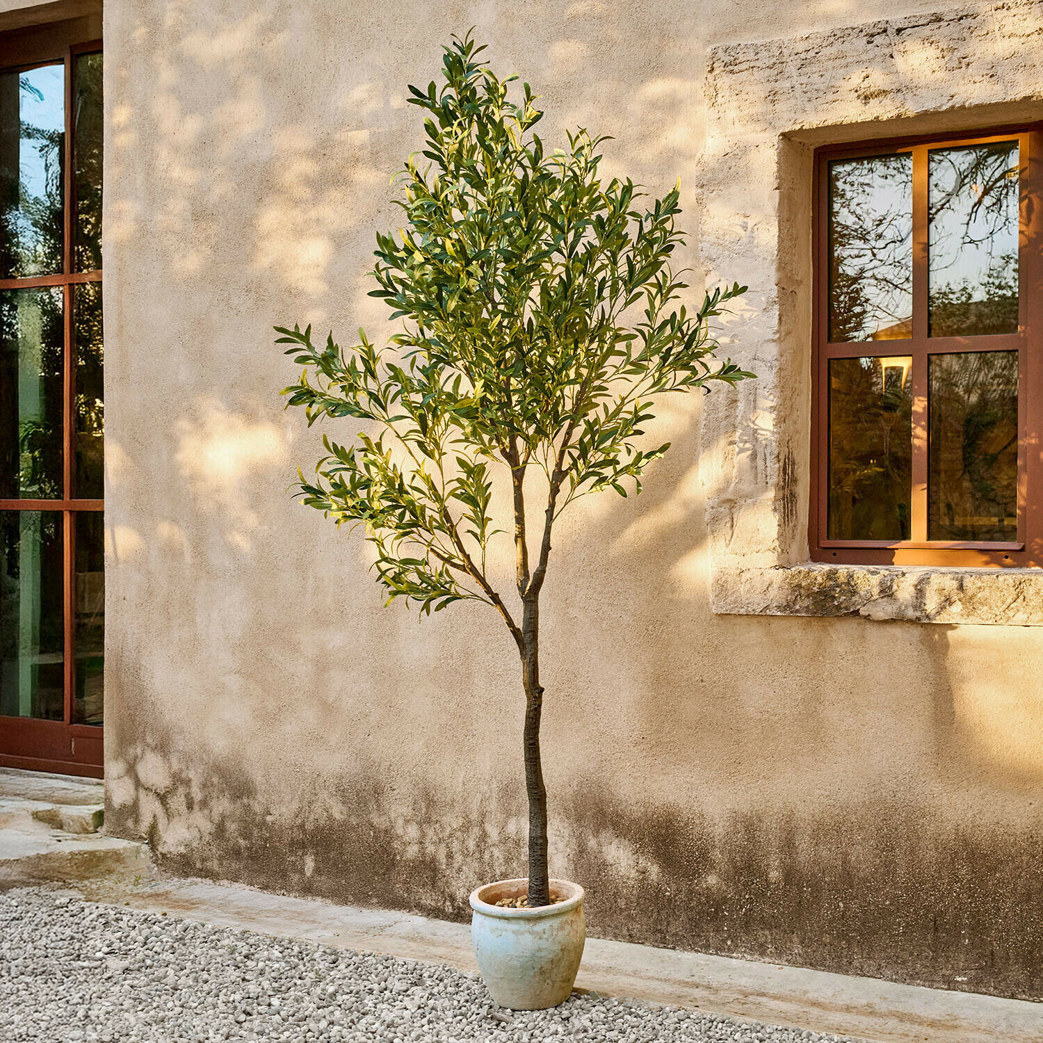 Decoratieve olijfboom Faelira Olijfboom in lichtbeige pot tegen muur met raam, tuin- en kamerplant decoratie
