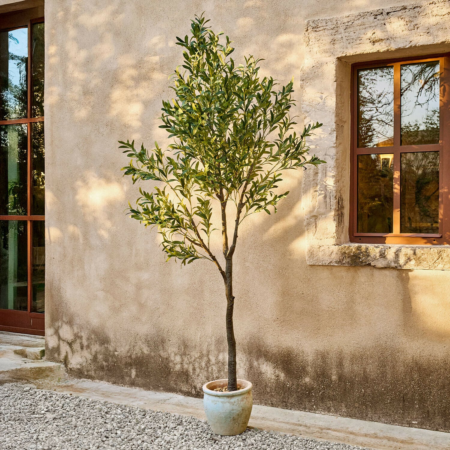 Decoratieve olijfboom Faelira Olijfboom in lichtbeige pot tegen muur met raam, tuin- en kamerplant decoratie