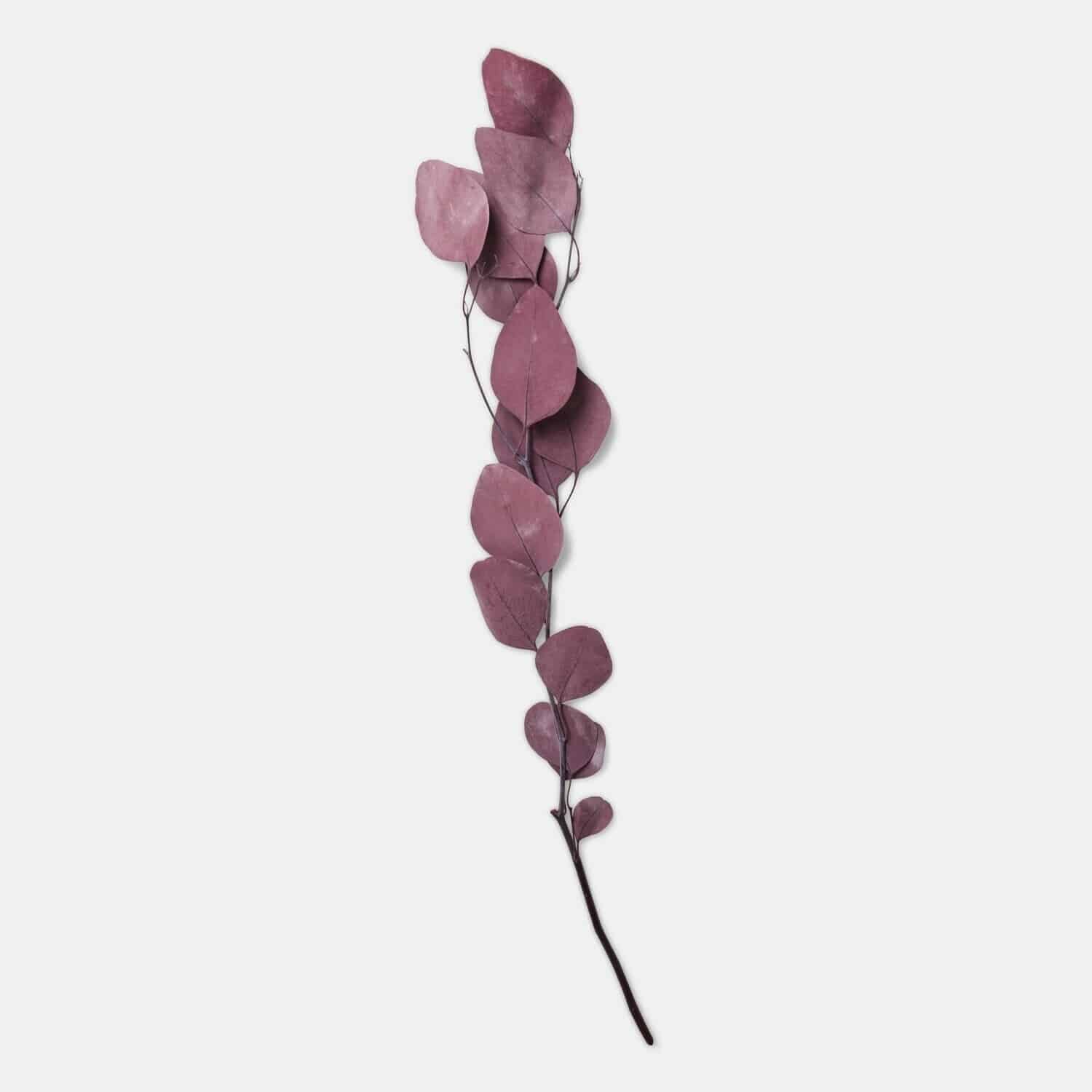 Decoratieve bloem Ianthee