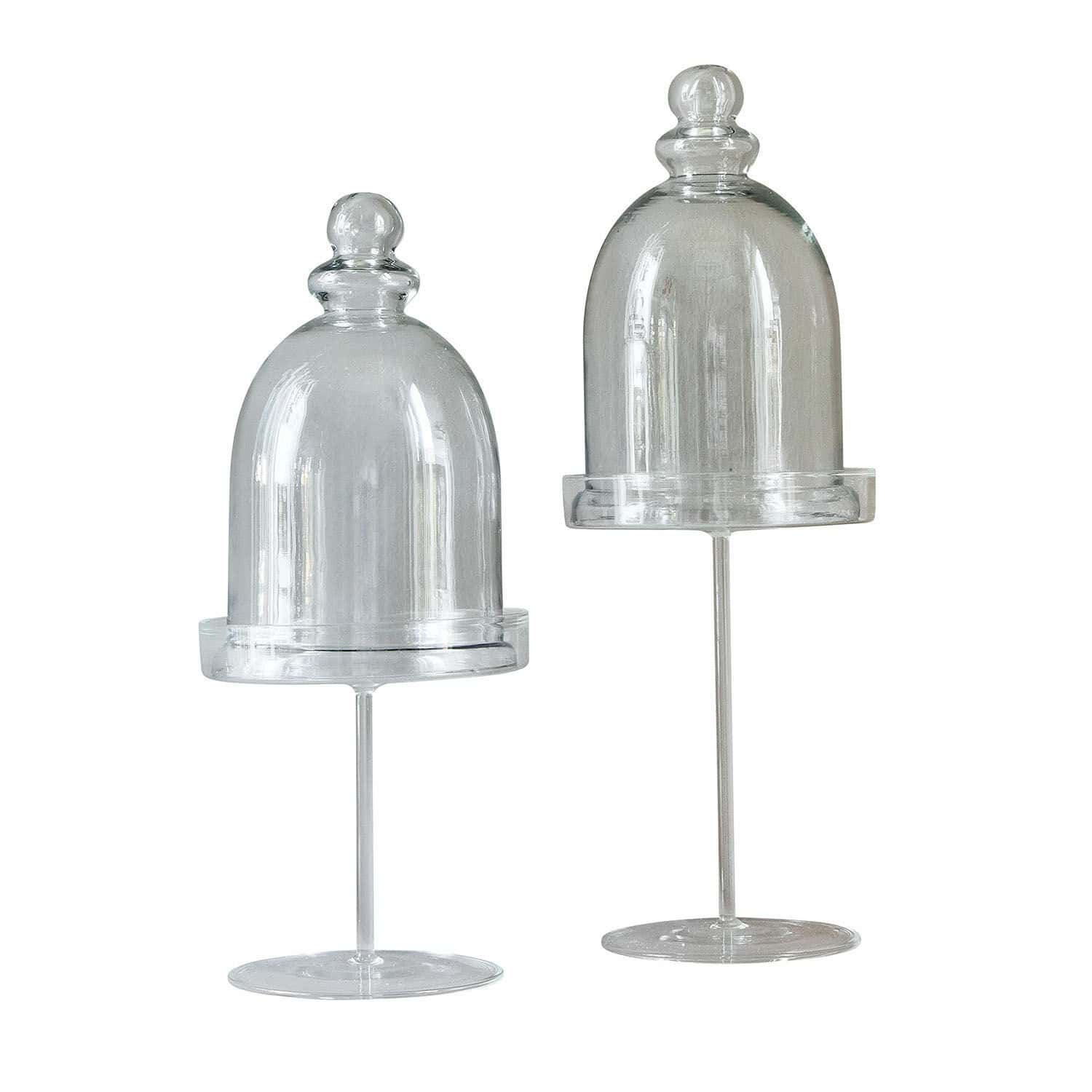 Glazen stolp set van 2 Hibous
