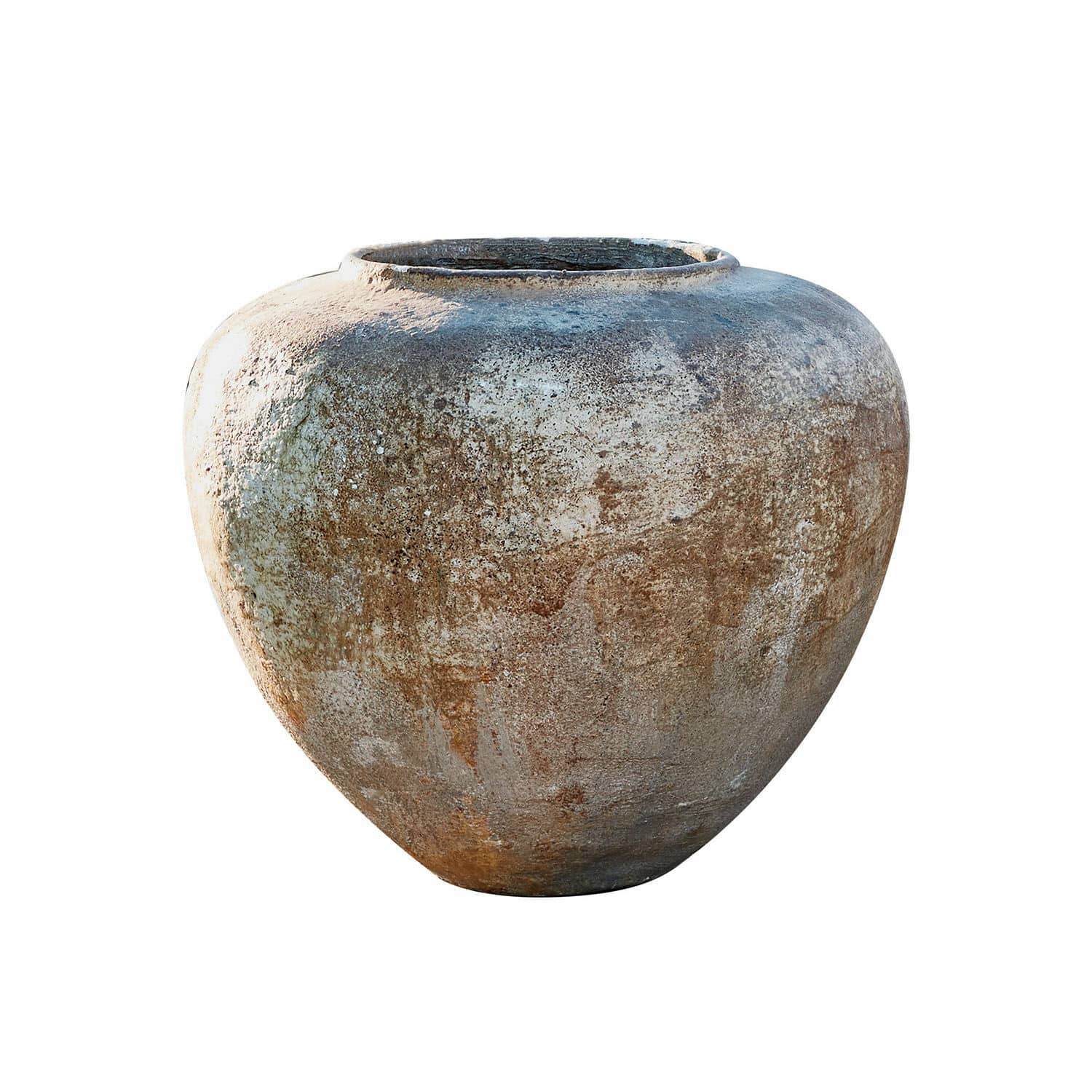 Sierpot Wisterria