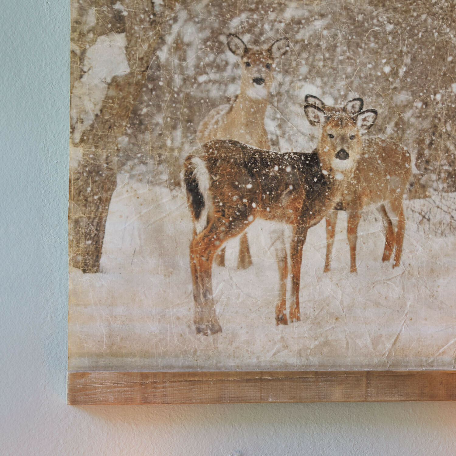 Wandafbeelding Trenaya