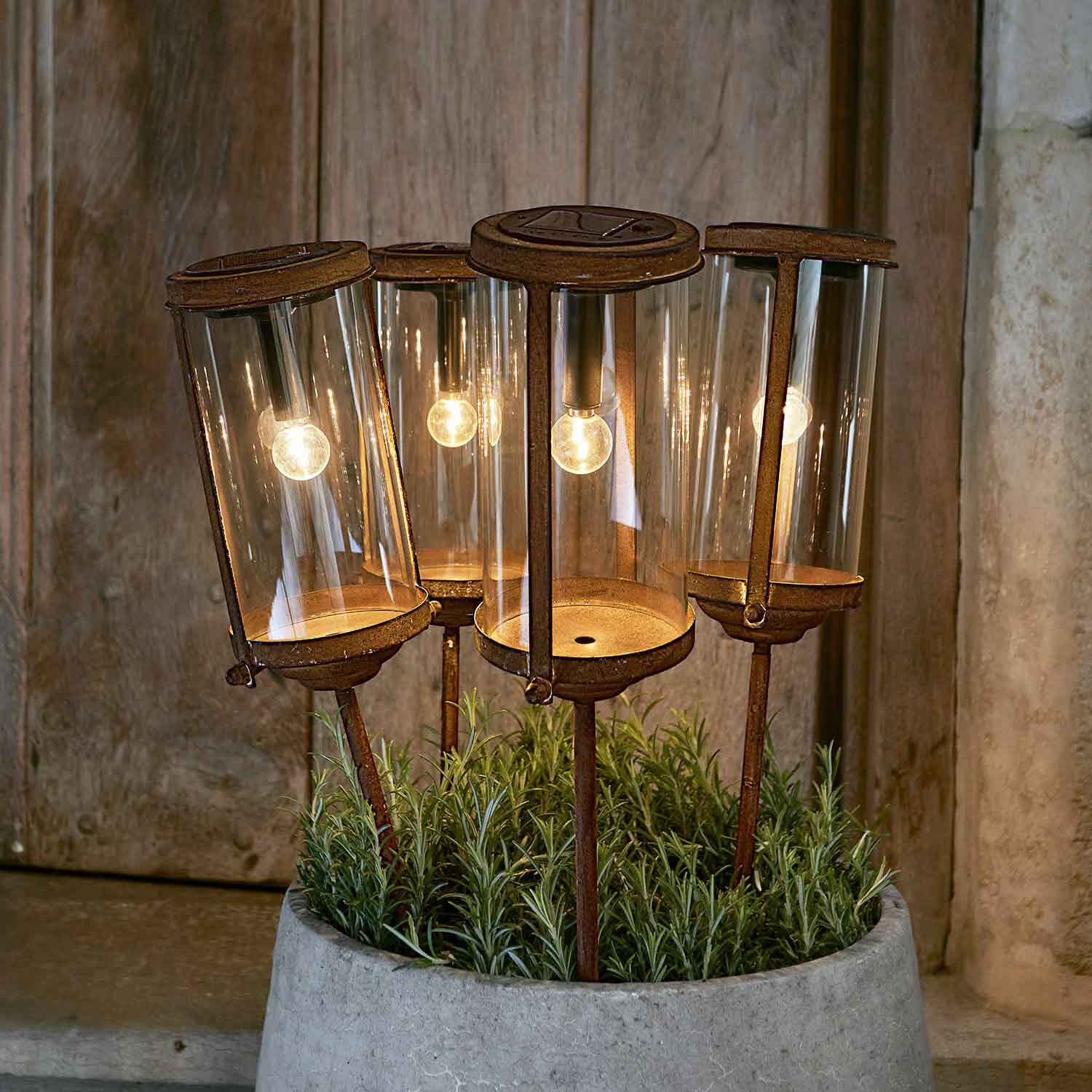 Set van vier roestige tuinlampen met glazen kappen en metalen standaards in een plantenpot