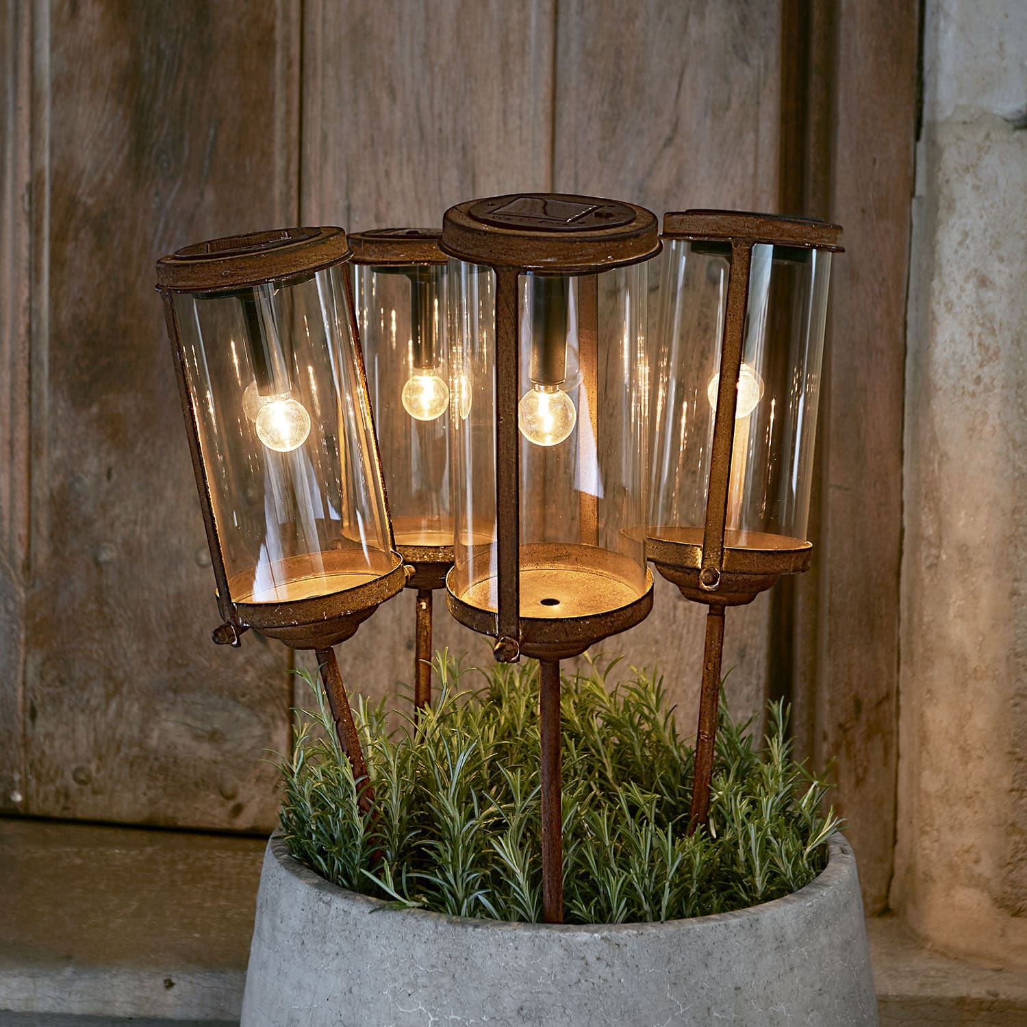 Set van vier roestige lantaarns met glazen kappen op metalen stokken in een pot met groene planten