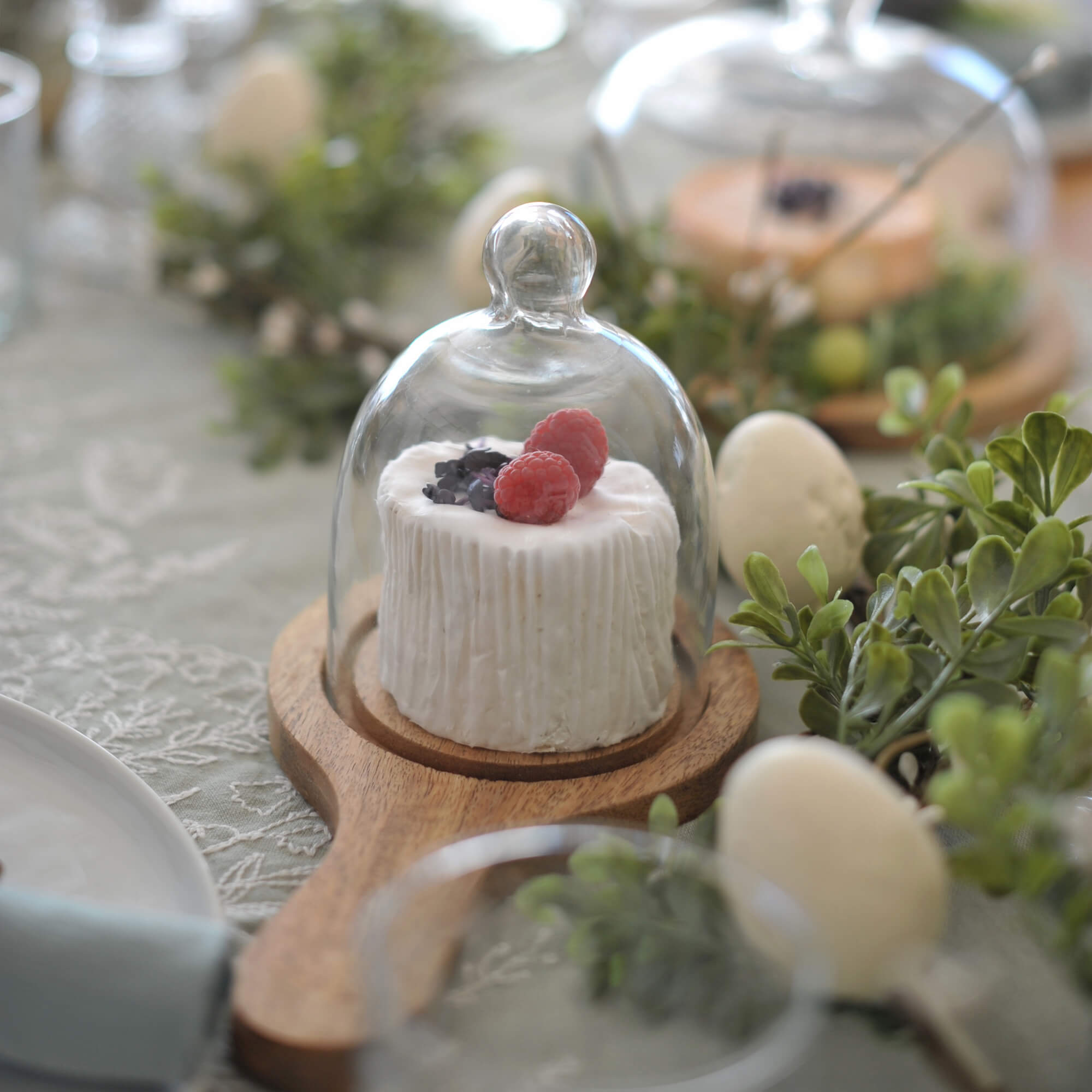 Witte decoratieve kaas met frambozen onder glazen stolp op houten plank met groene planten