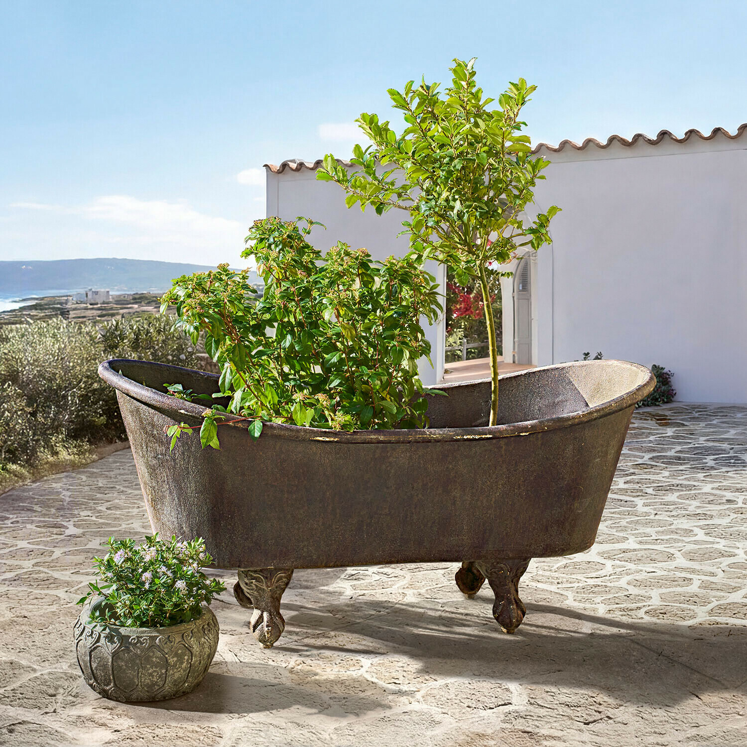 Oude gietijzeren badkuip met leeuwenpoten als plantenbak met groene planten op terras