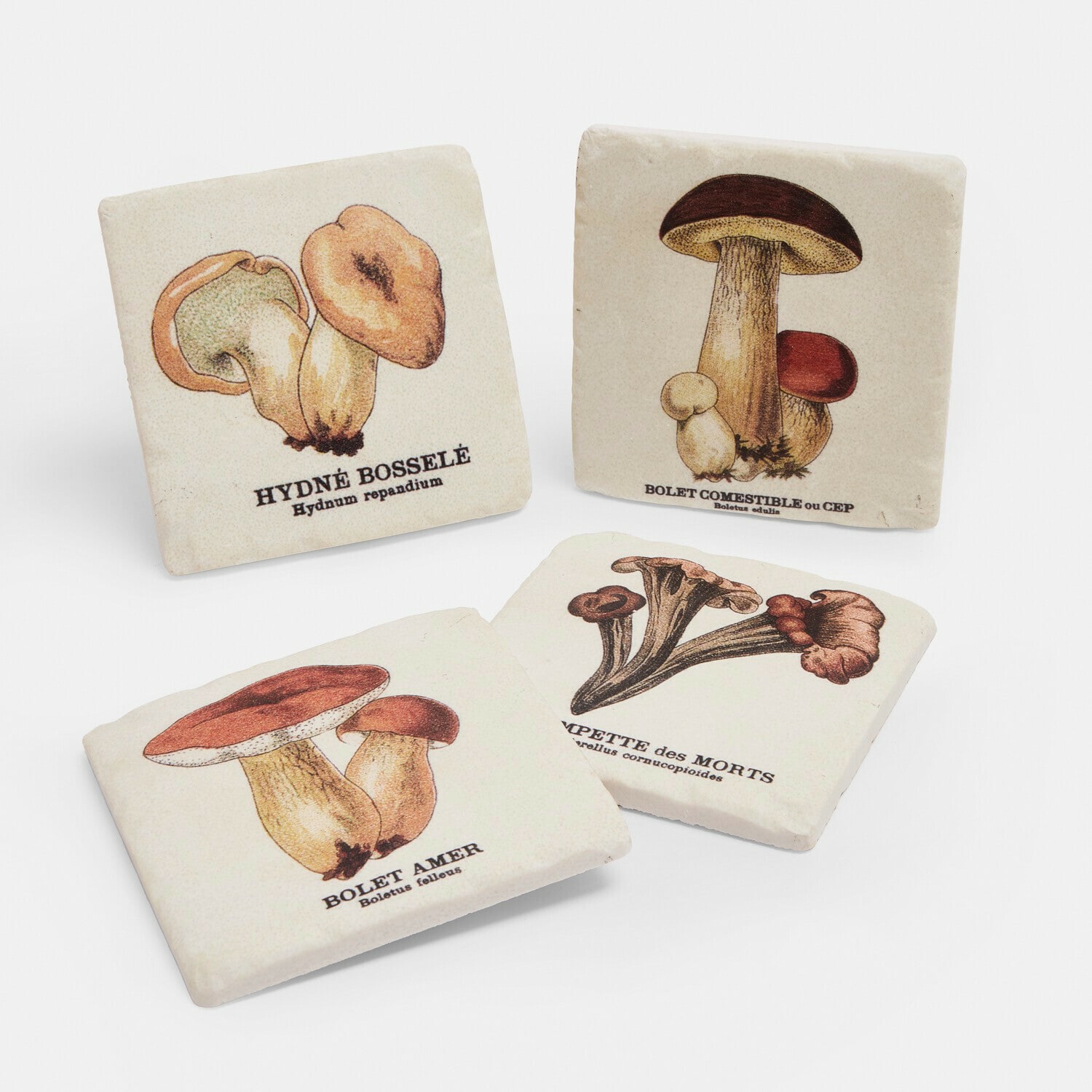 Onderzetter set van 4 Jandoria Keramische onderzetters met paddenstoelillustraties in natuurlijke kleuren op lichte achtergrond