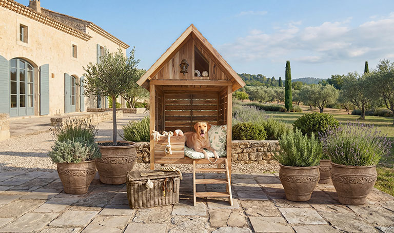 Huisdieren op het platteland