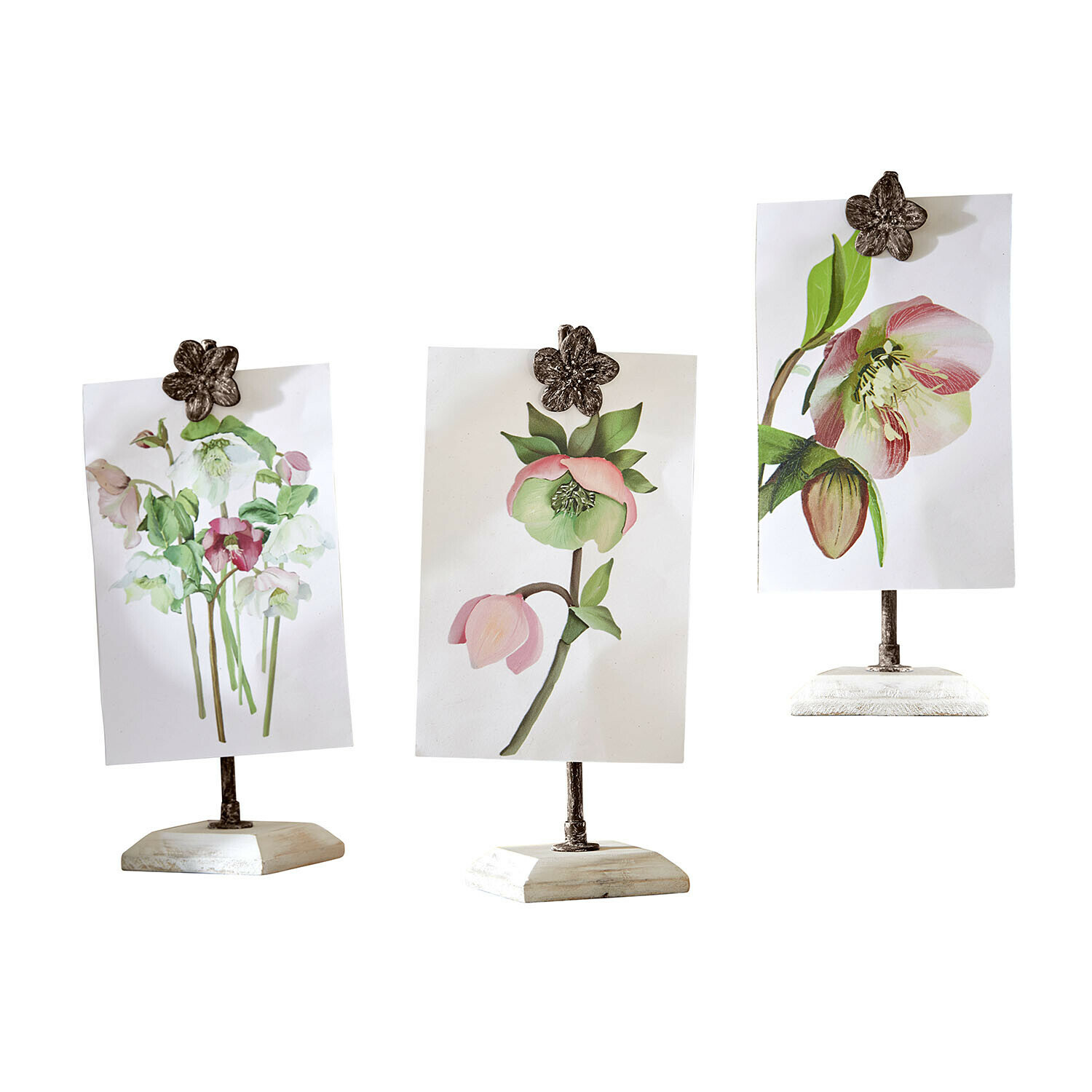 Afbeelding met houder set van 3 Serafinas