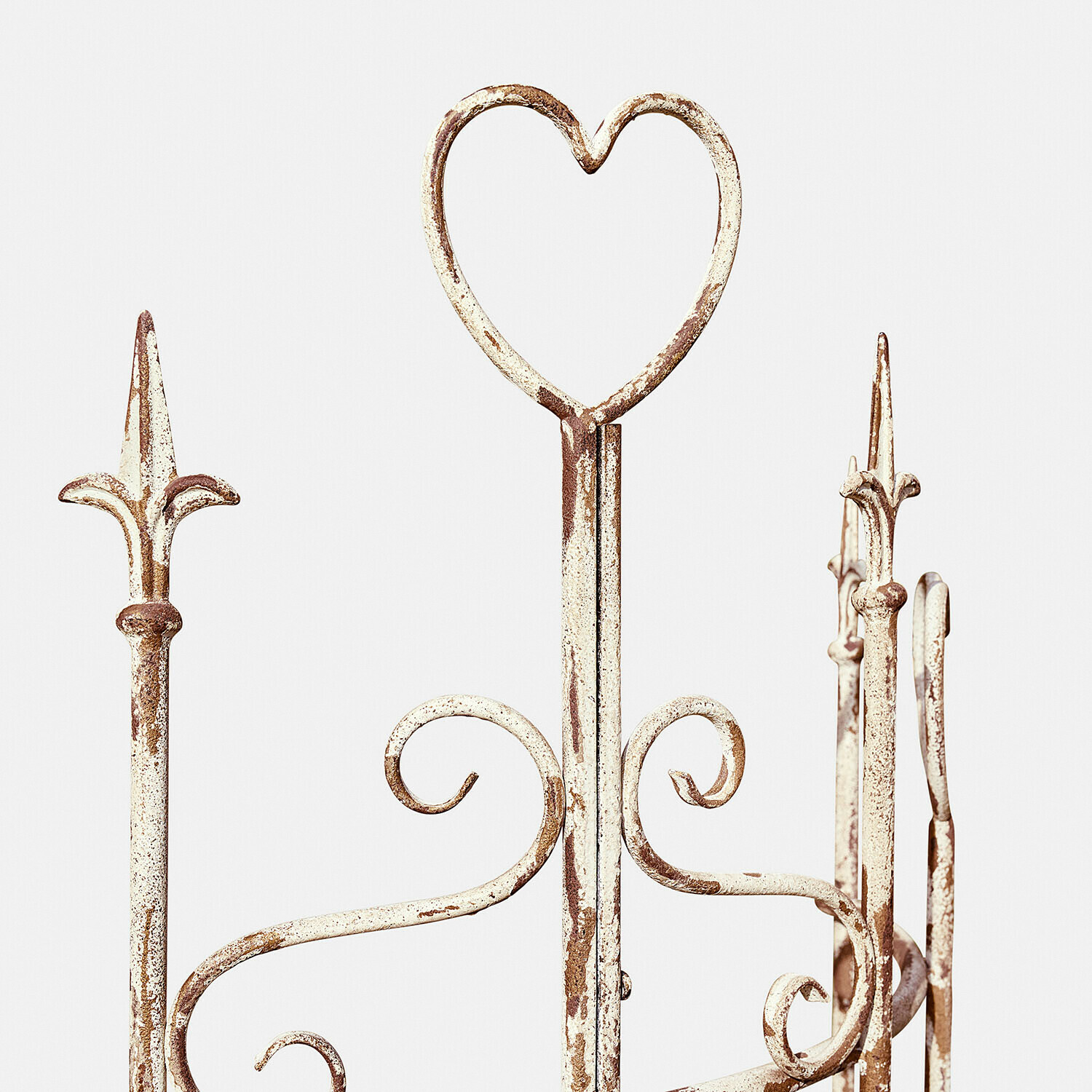 Klimplantenrek Iveralia