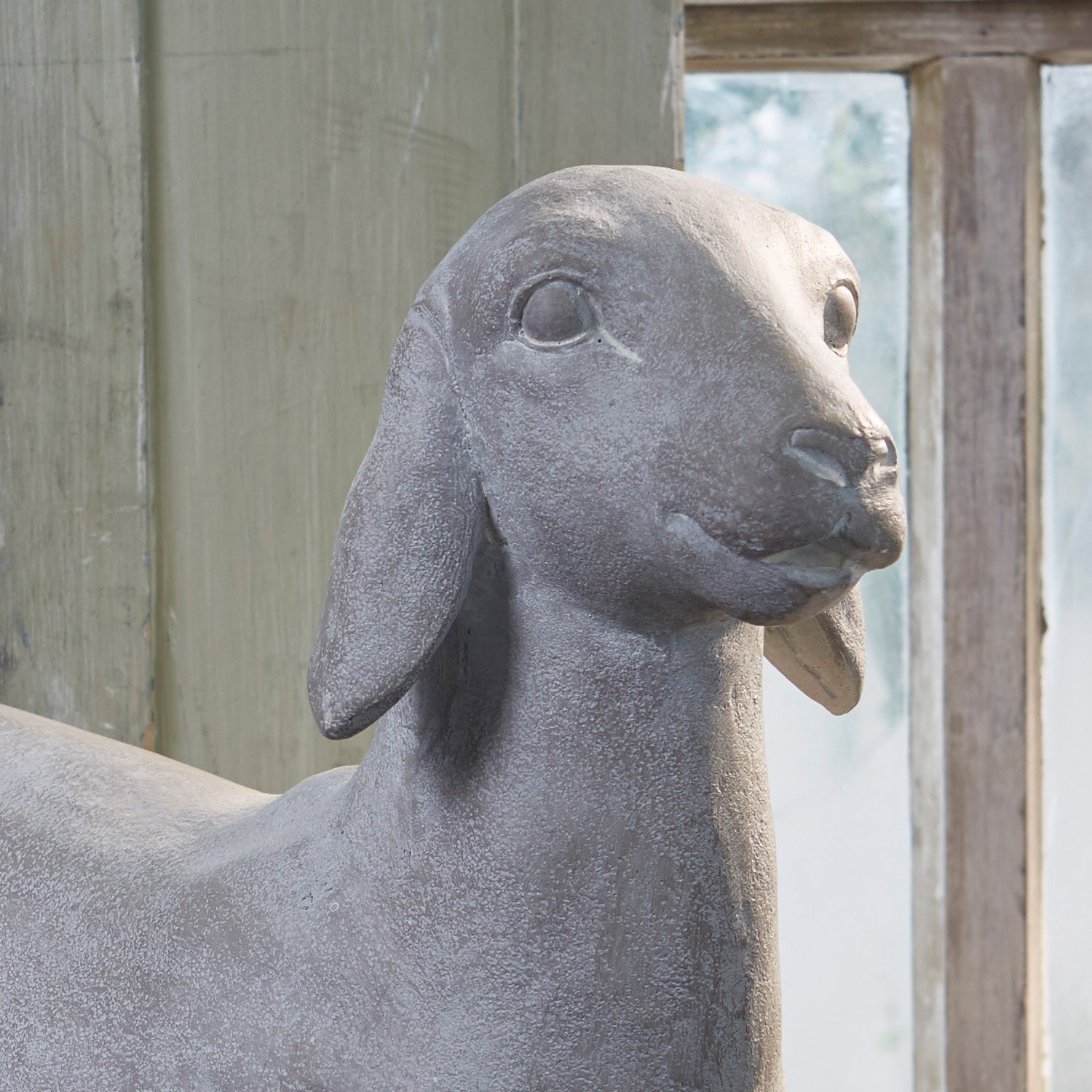 Schaap Mouton
