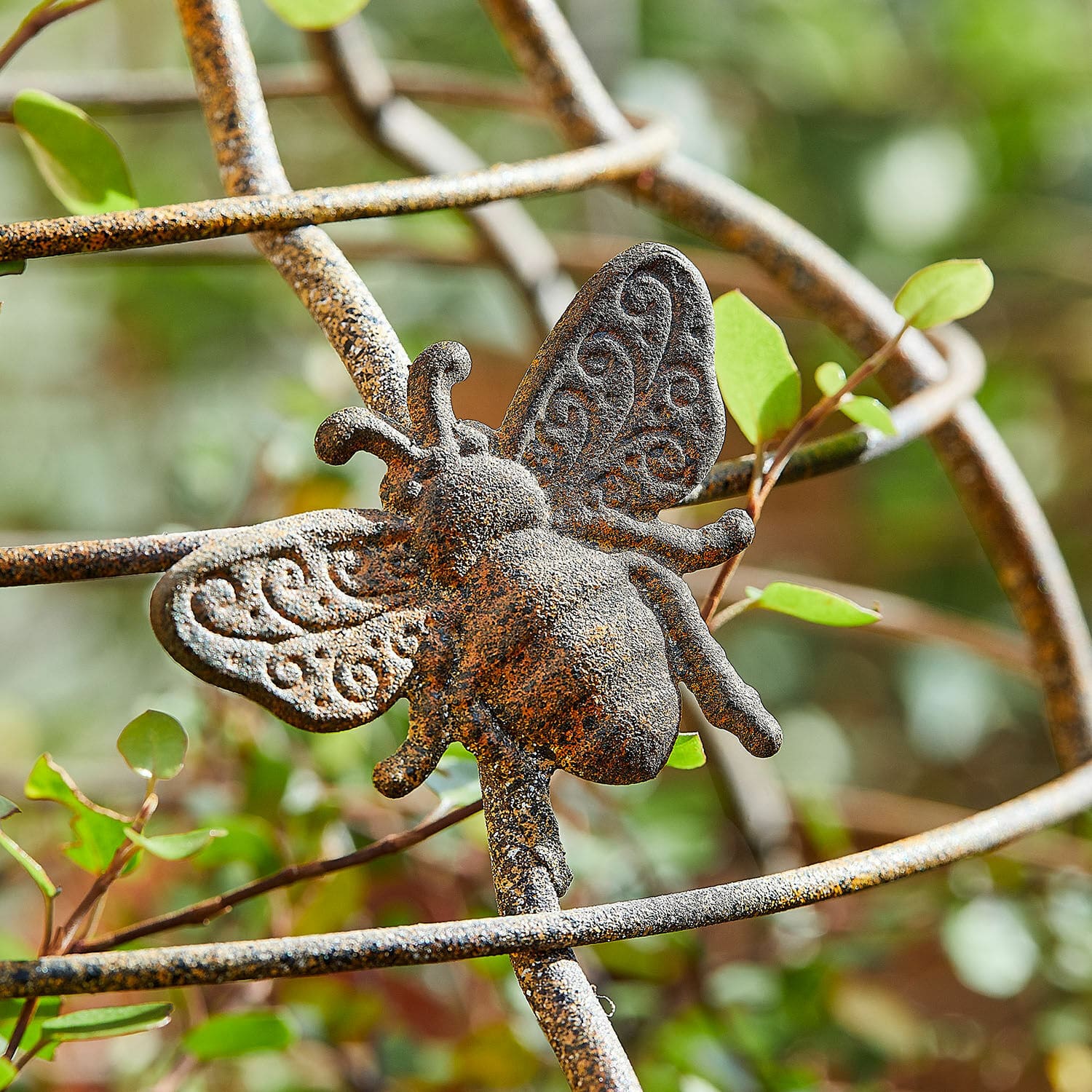 Plantensteun set van 2 Sixel