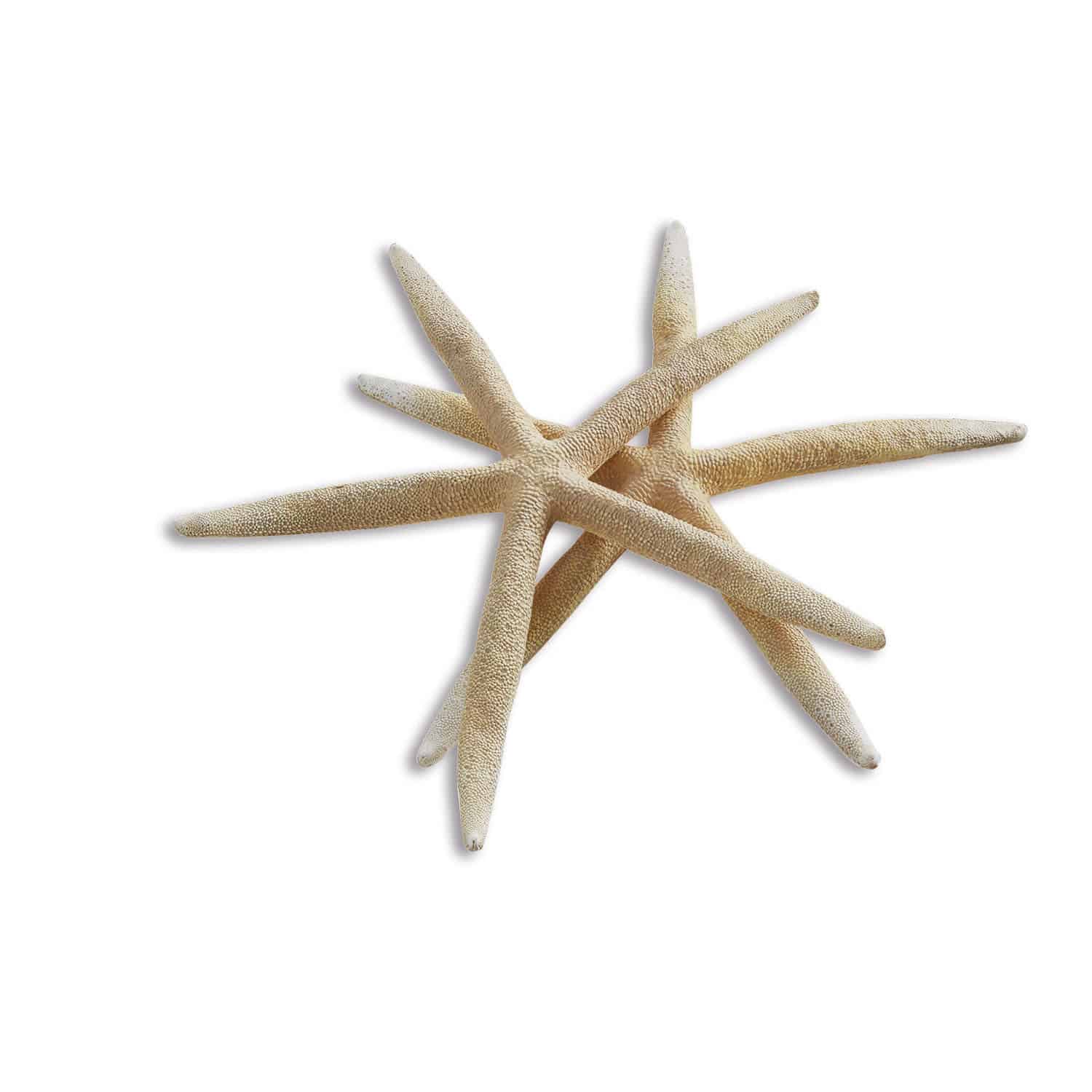 Decoratieve zeester, set van 2 Divna