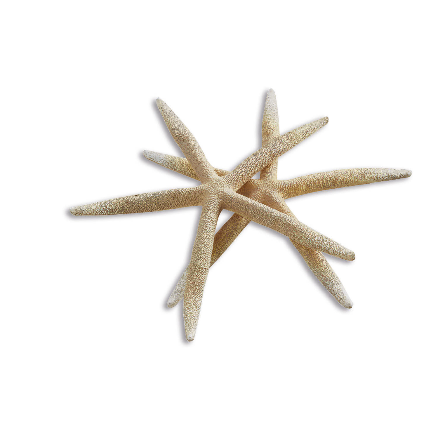 Decoratieve zeester, set van 2 Divna