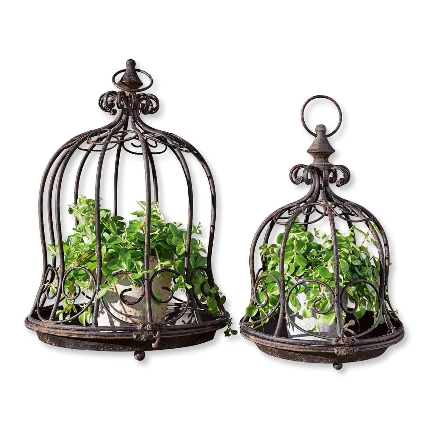Set van 2 zwarte metalen plantensteunen Luisianne met decoratief patroon en potten met groene bladeren