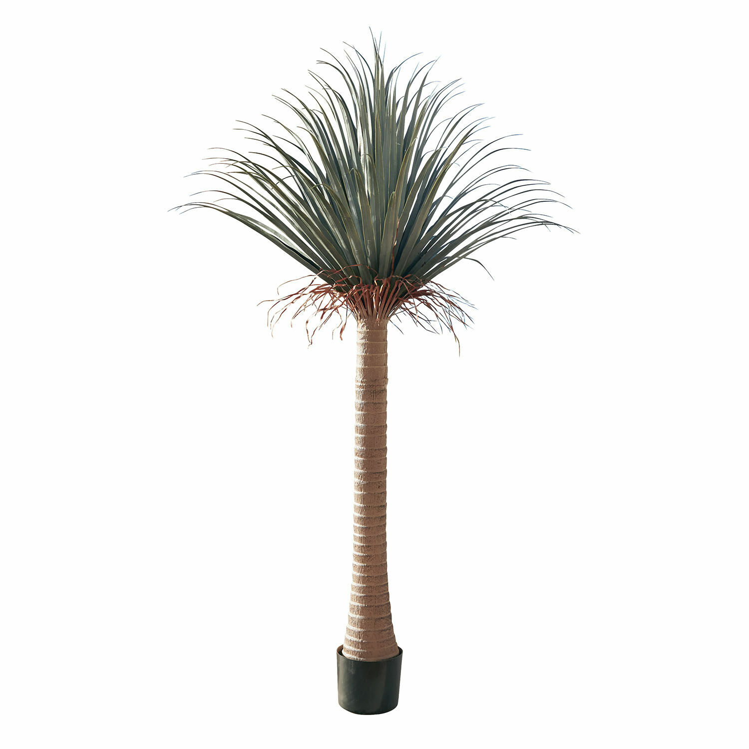 Decoratieve palmboom Remivon