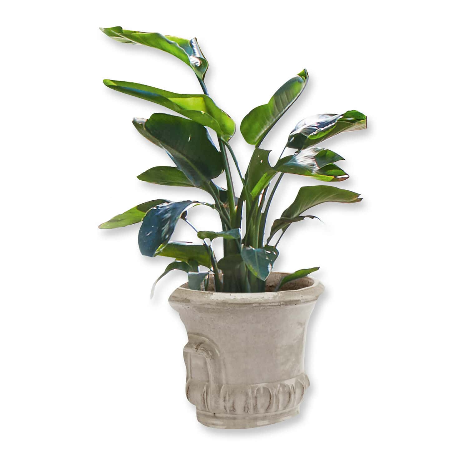 Sierpot Vannes