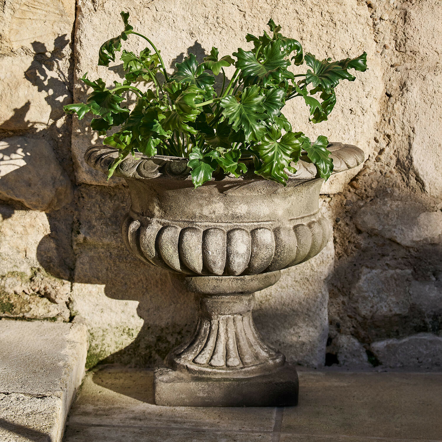 Decoratieve grijze stenen bloempot met groene bladeren tegen een stenen muur