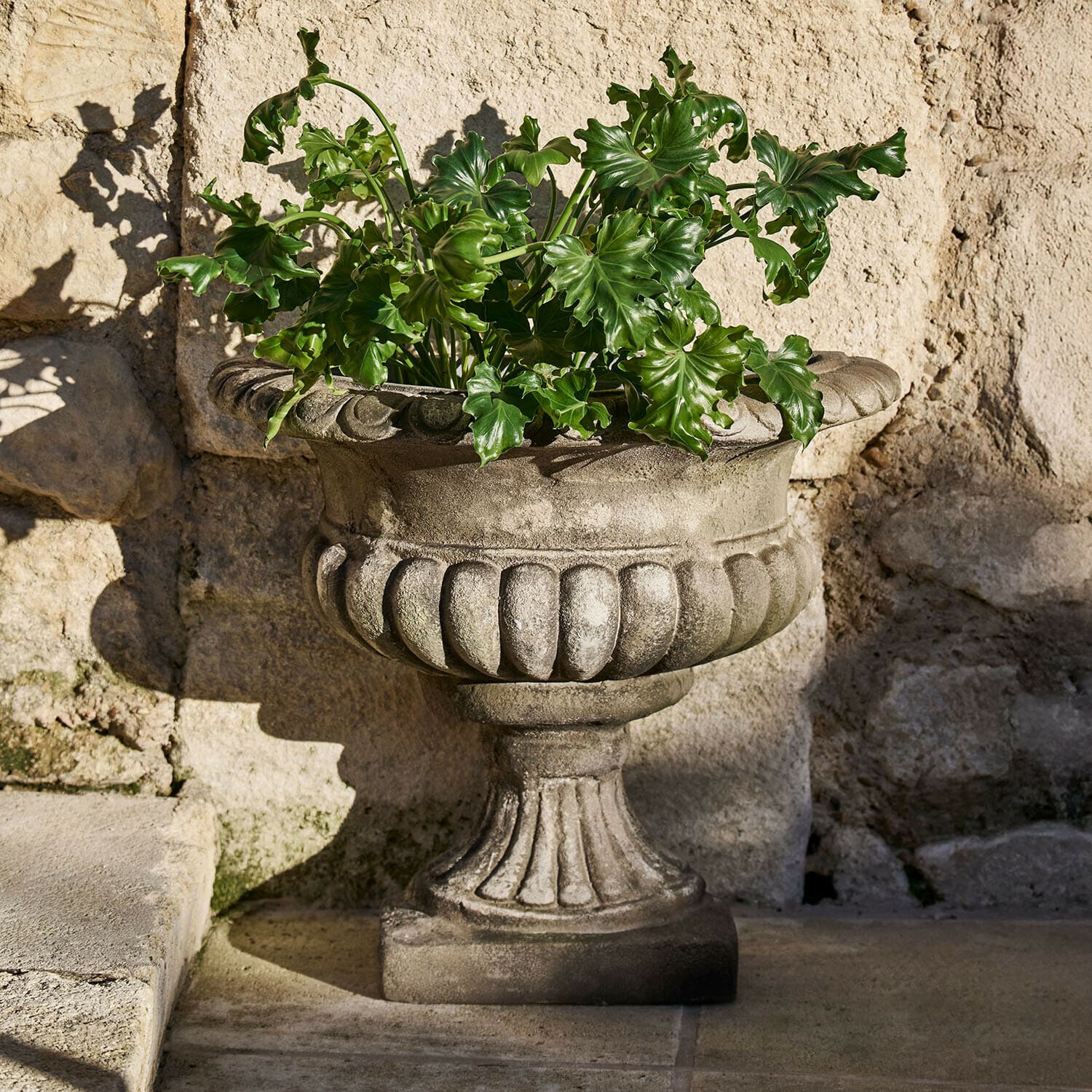 Amfora Navrelle Decoratieve grijze stenen bloempot met groene bladeren tegen een stenen muur