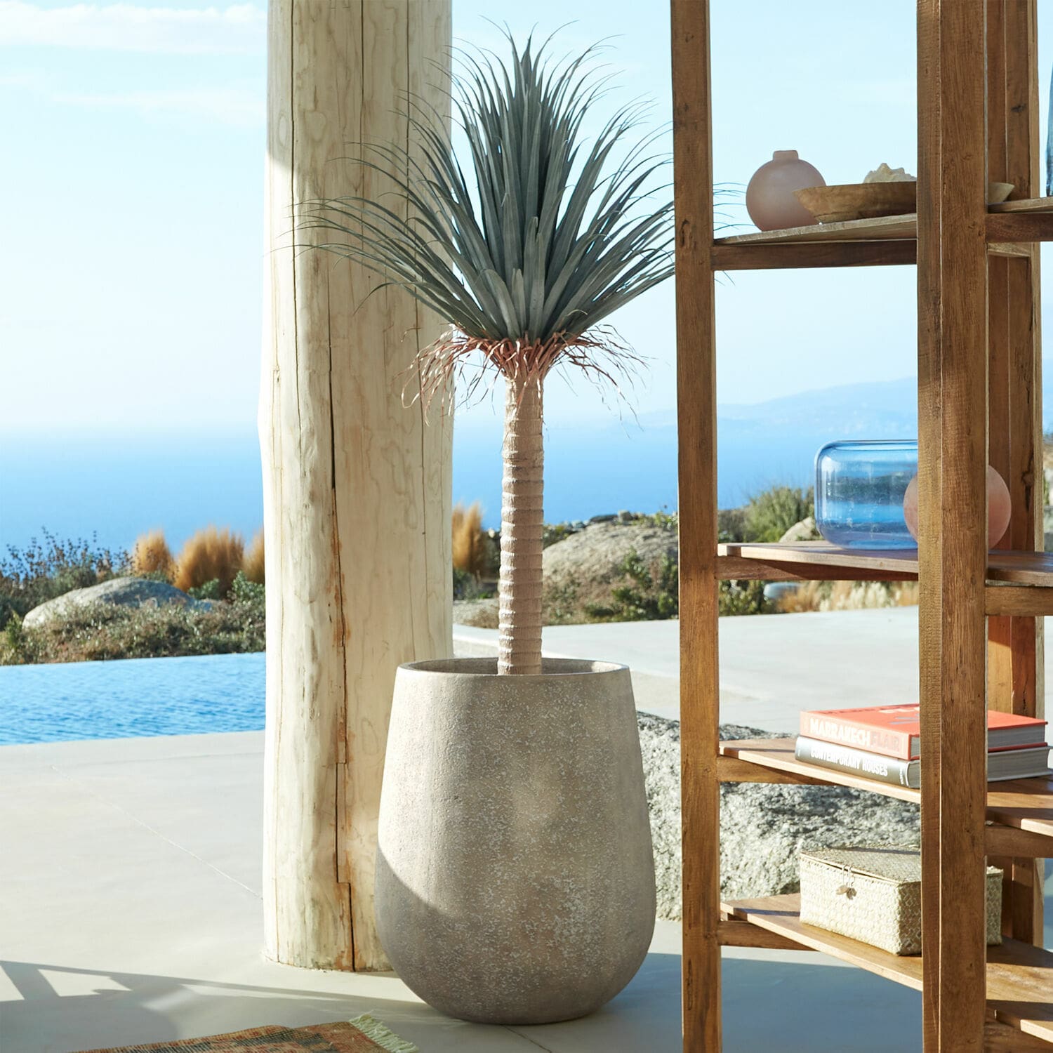 Decoratieve palmboom Remivon