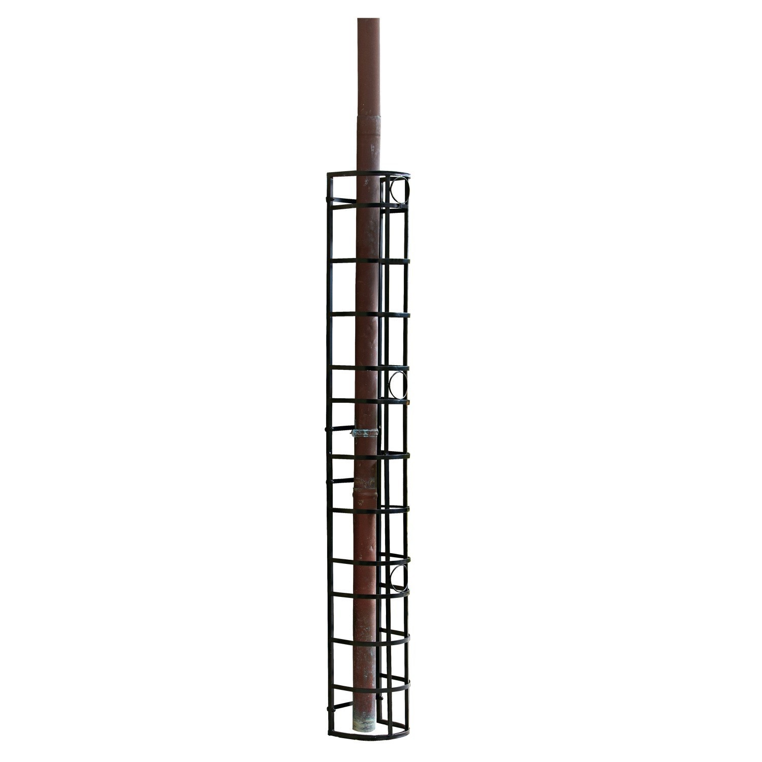 Klimplantenrek Vitot Zwarte metalen buisbescherming, stevig en praktisch voor tuin of huis