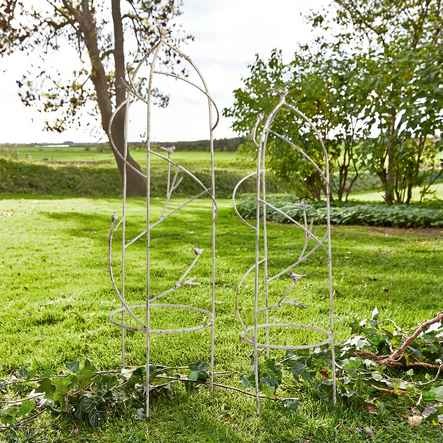 Witte metalen tuinpergola met vogelornamenten, ideaal als klimsteun voor planten