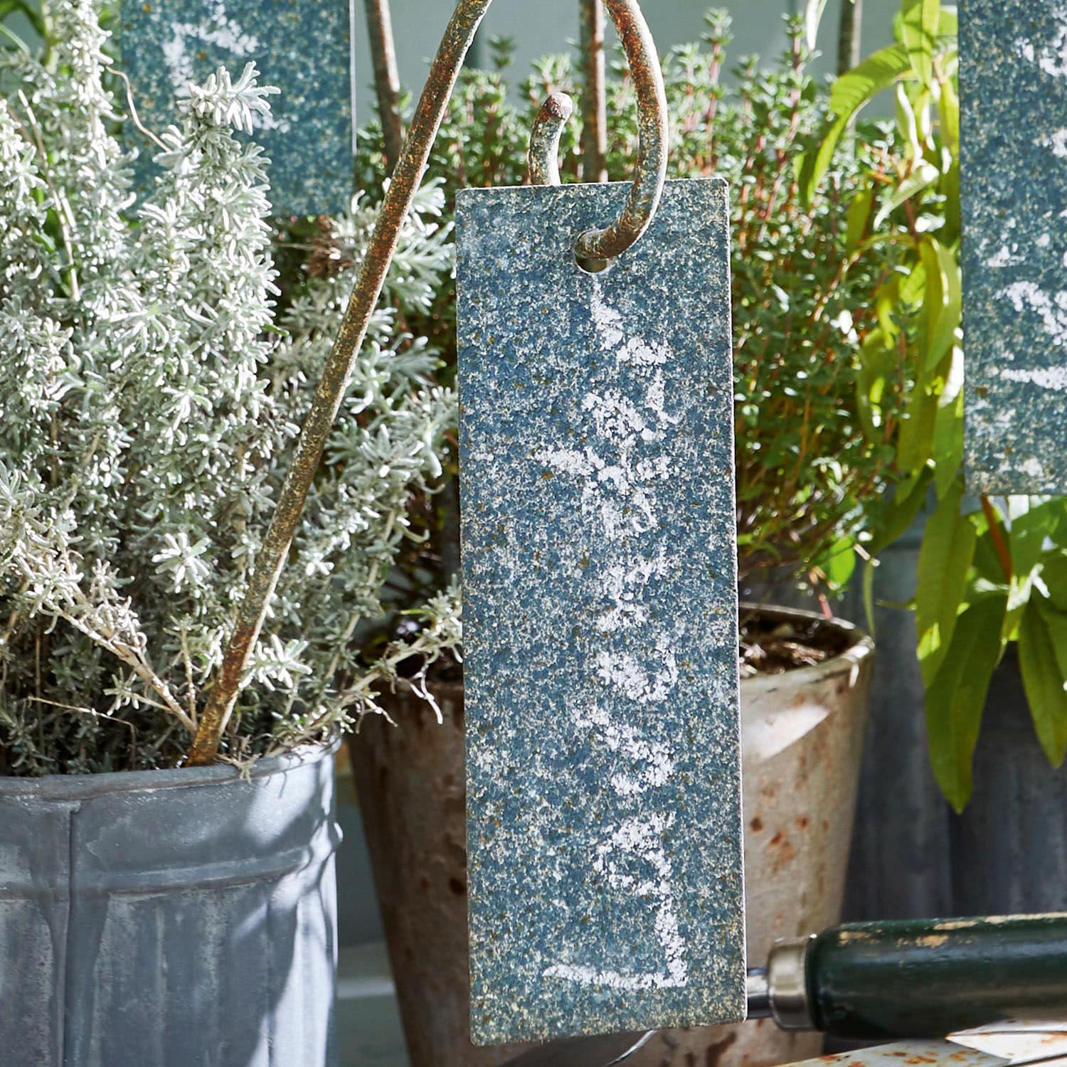 Plantensteun met label set van 6 Sefrou