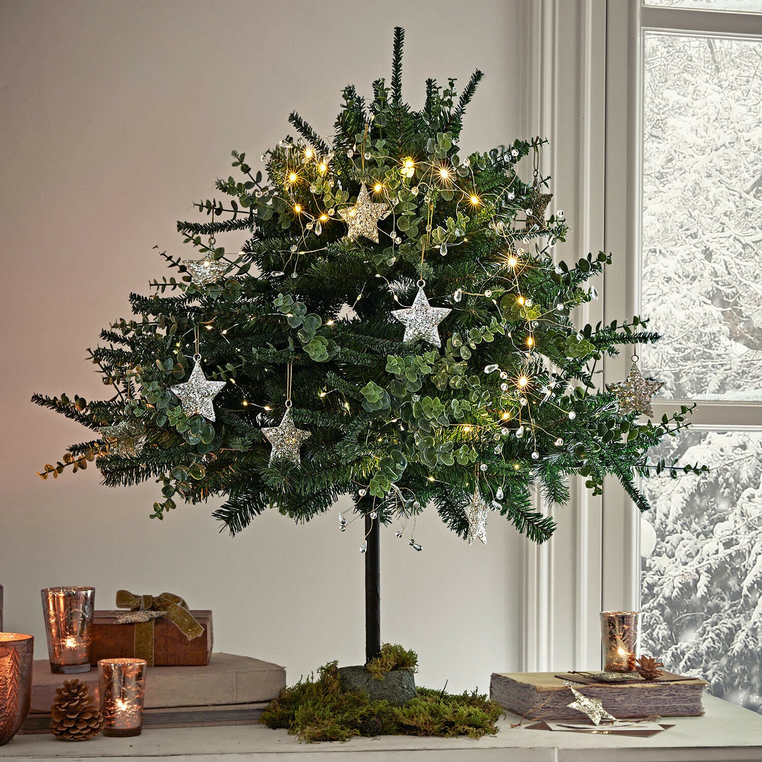 Decoratieve boom Talvora