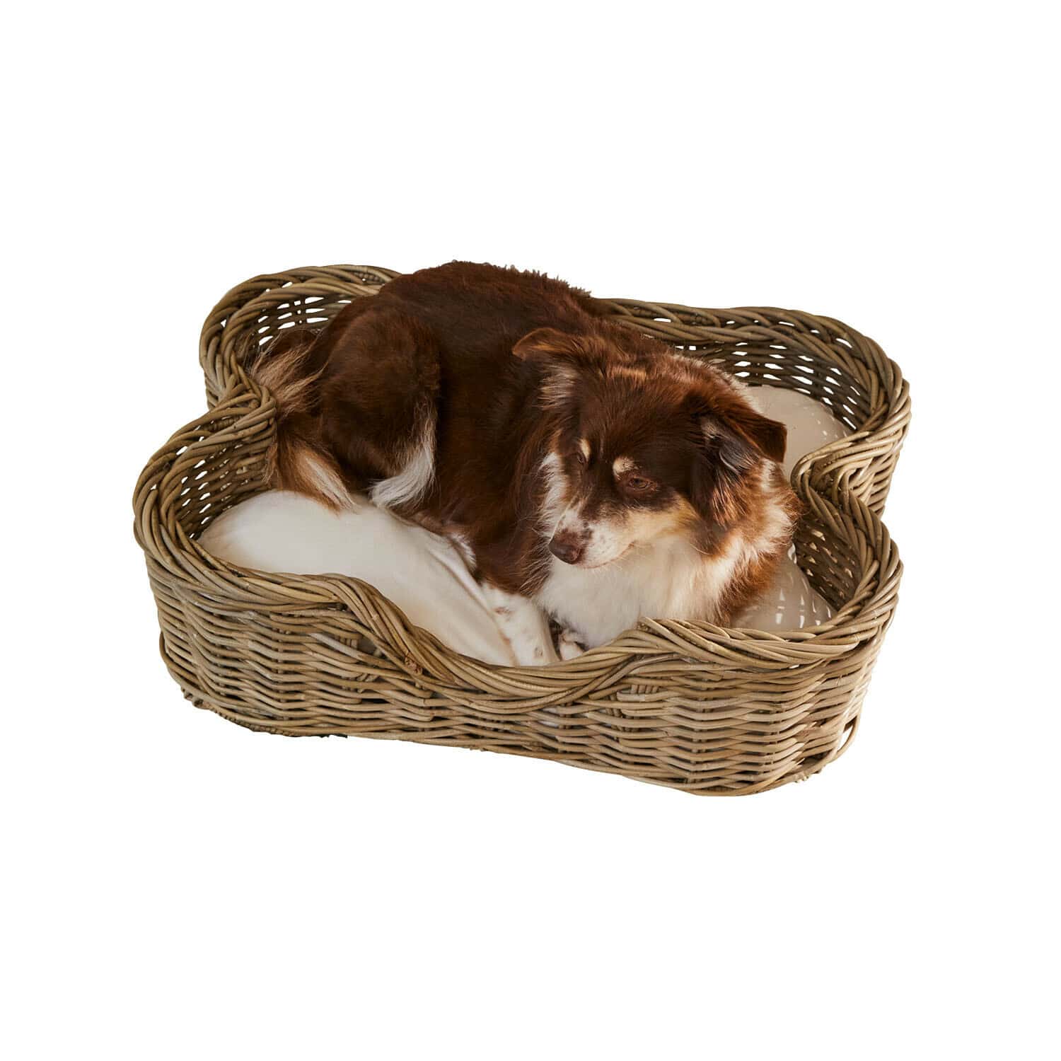 Huisdierenmand Ninloo