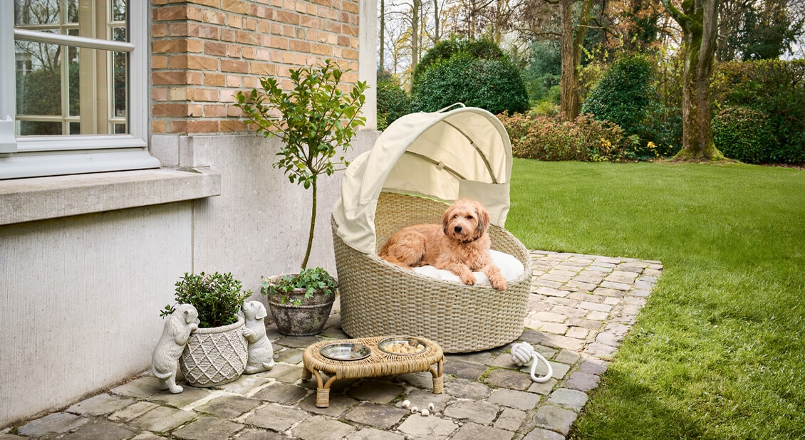 Beige rieten strandstoel met kussen en hond liggend op terras in de tuin