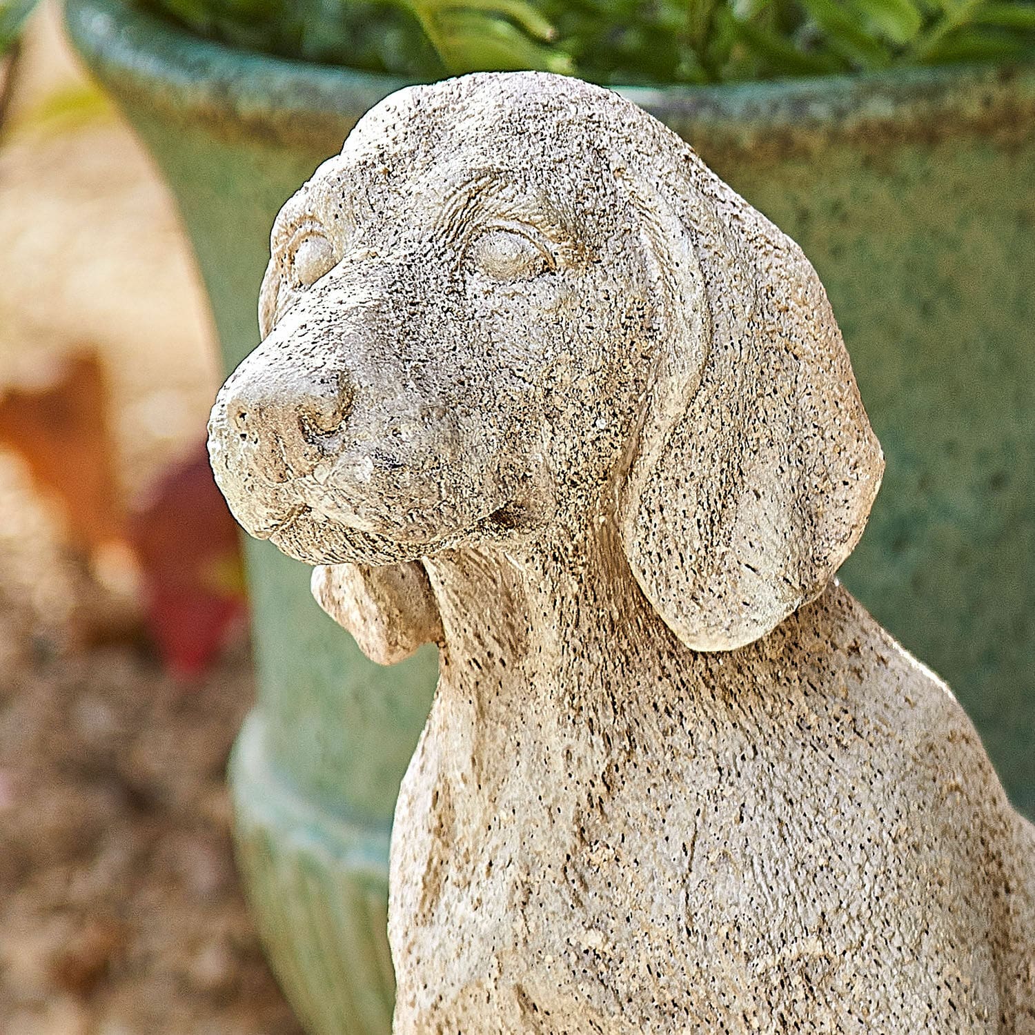 Decoratieve hond Albinor