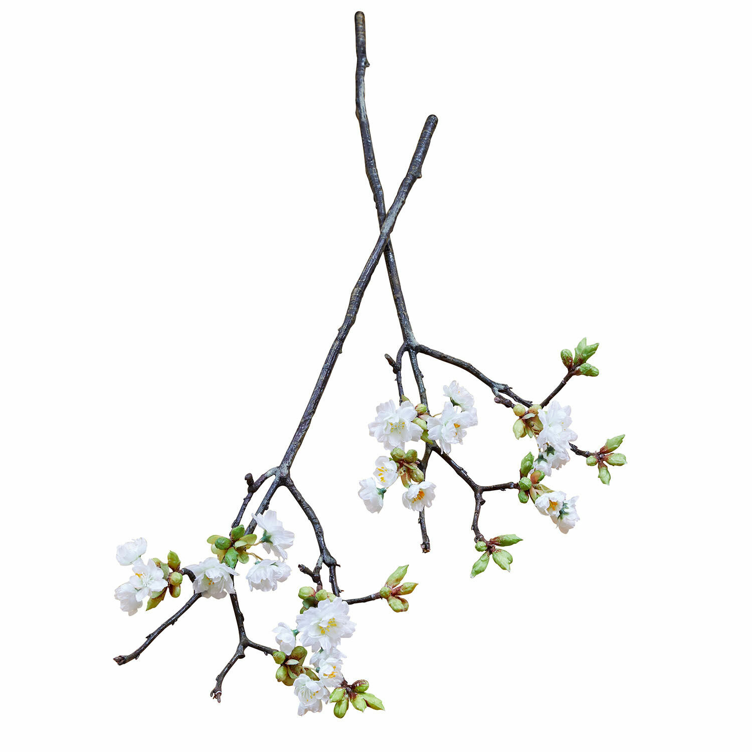 Sierbloem set van 2 Gráda