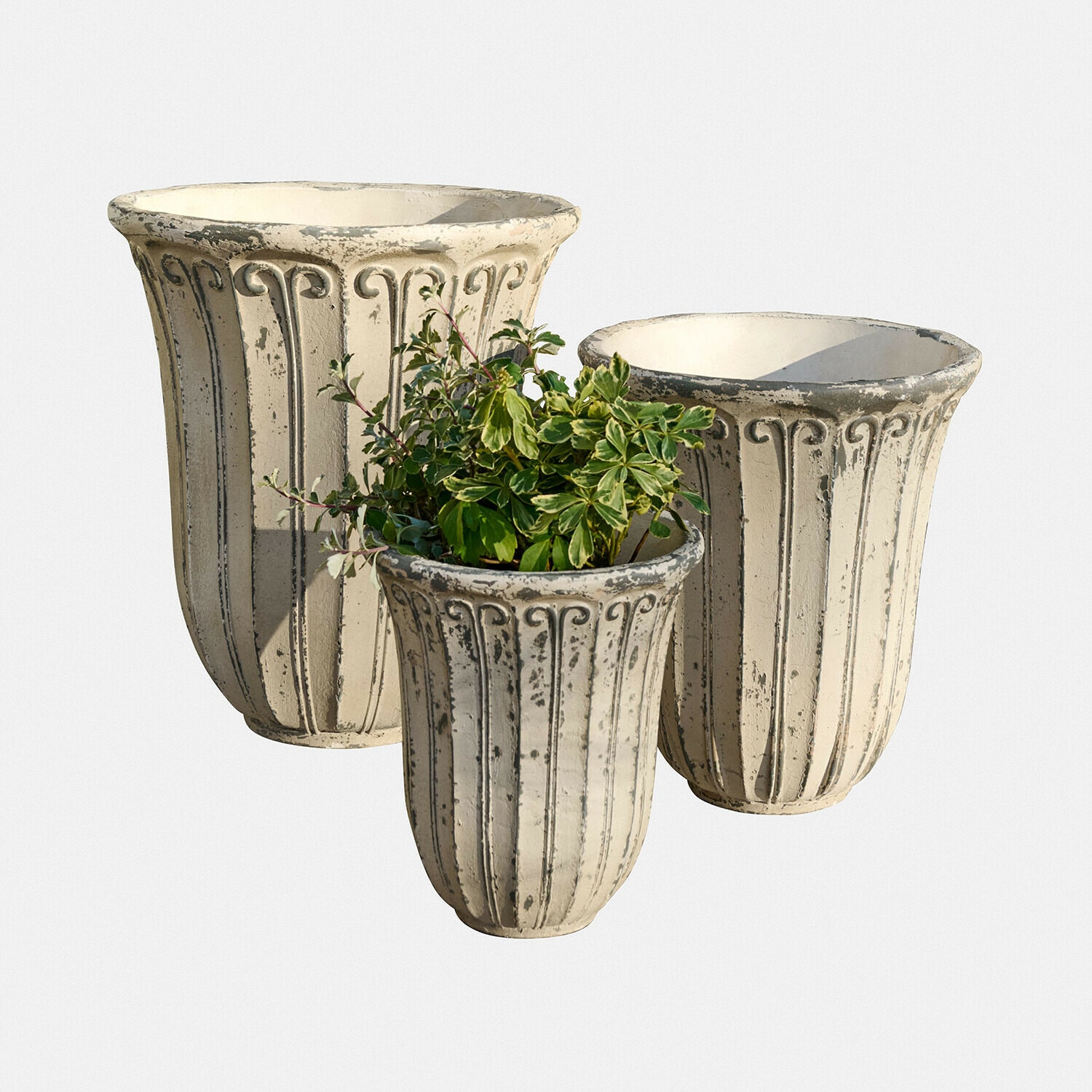 Sierpot set van 3 Méravon Set van drie crème potten met verouderd effect en plant, tuindecoratie van cement in vintage stijl
