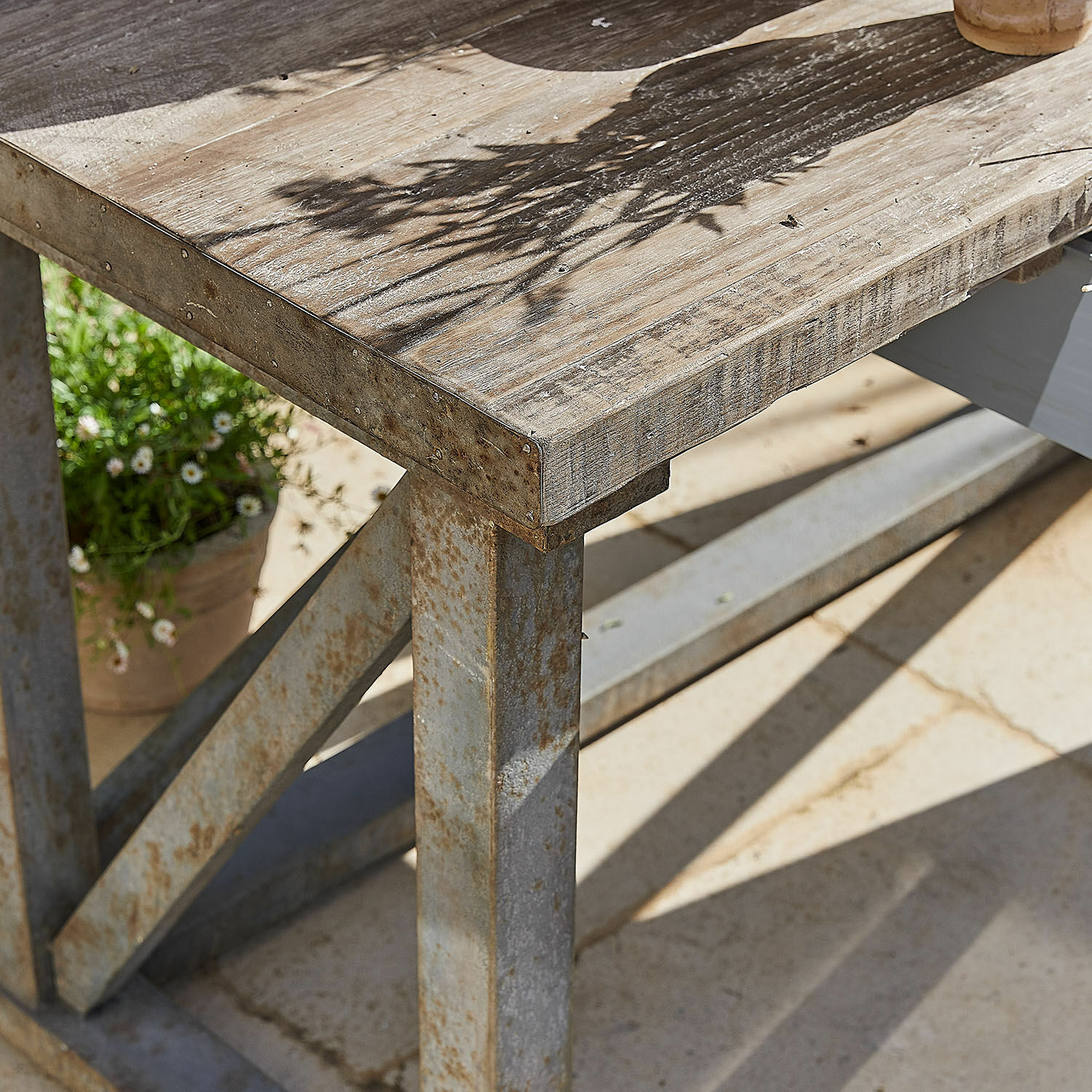 Plantentafel Belavoine