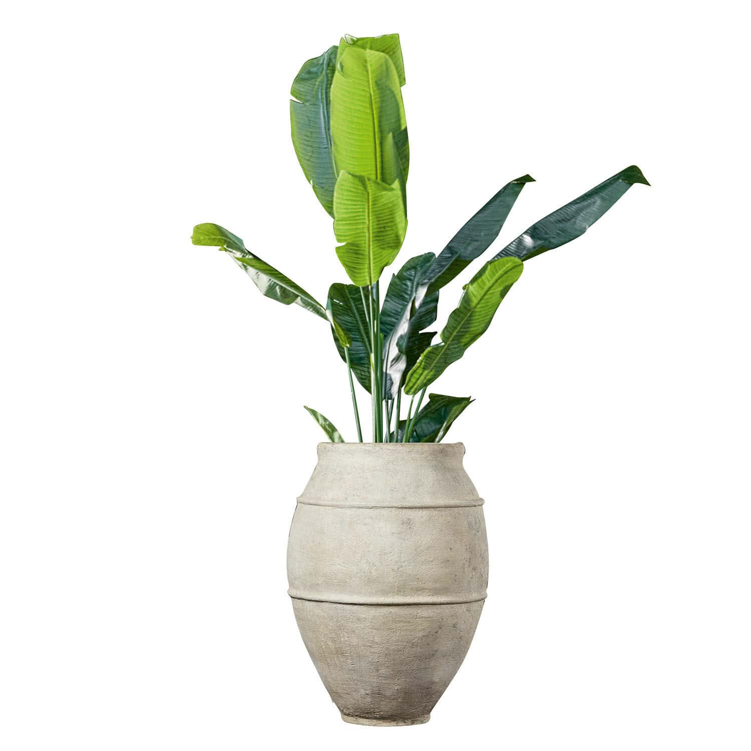Sierpot Morcote Grote lichte stenen pot met groene bananenbladeren voor binnen- en buitendecoratie