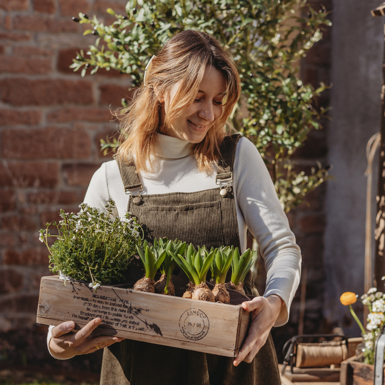 Vrouw in bruine corduroy tuinbroek met houten kistje met groene planten in tuin