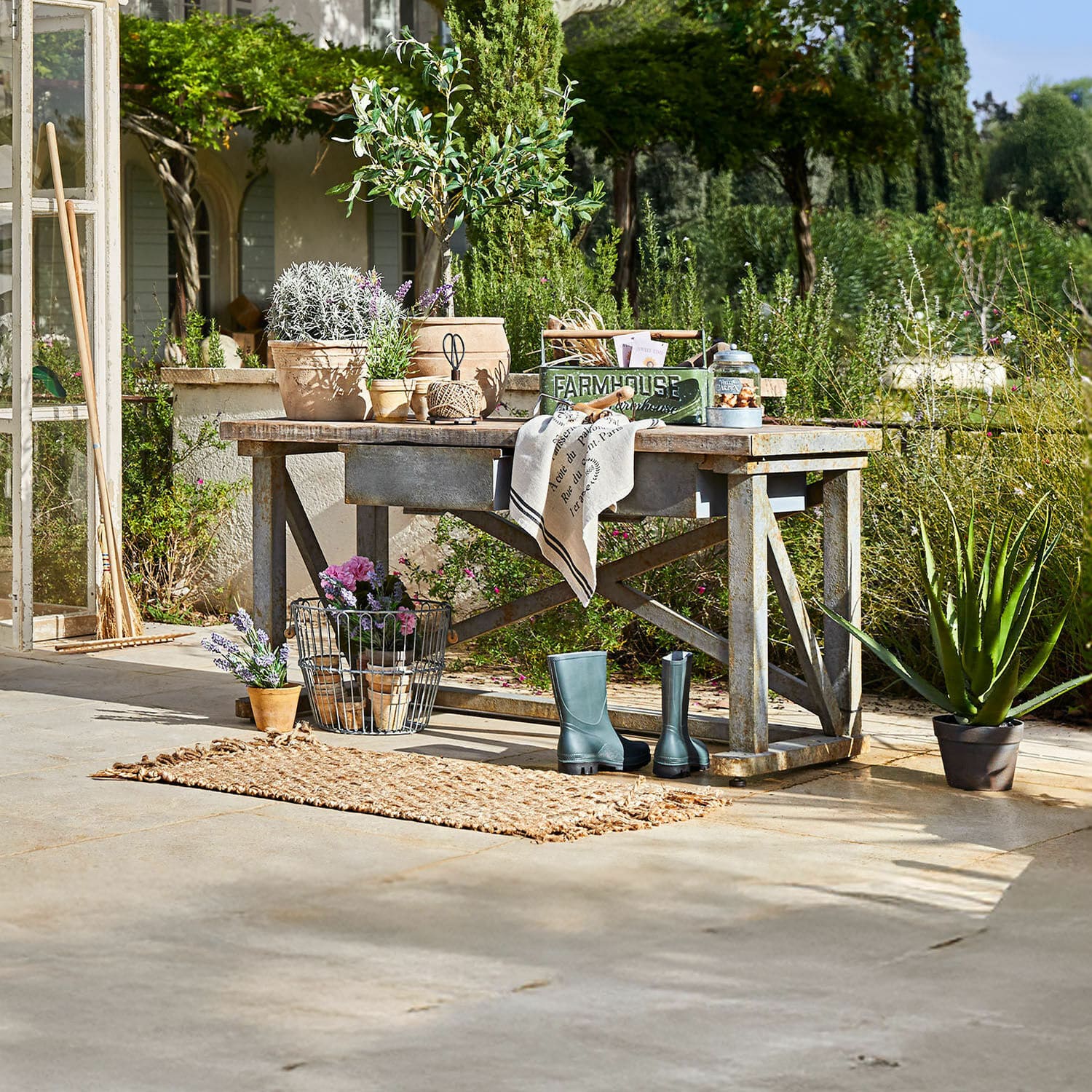 Plantentafel Belavoine